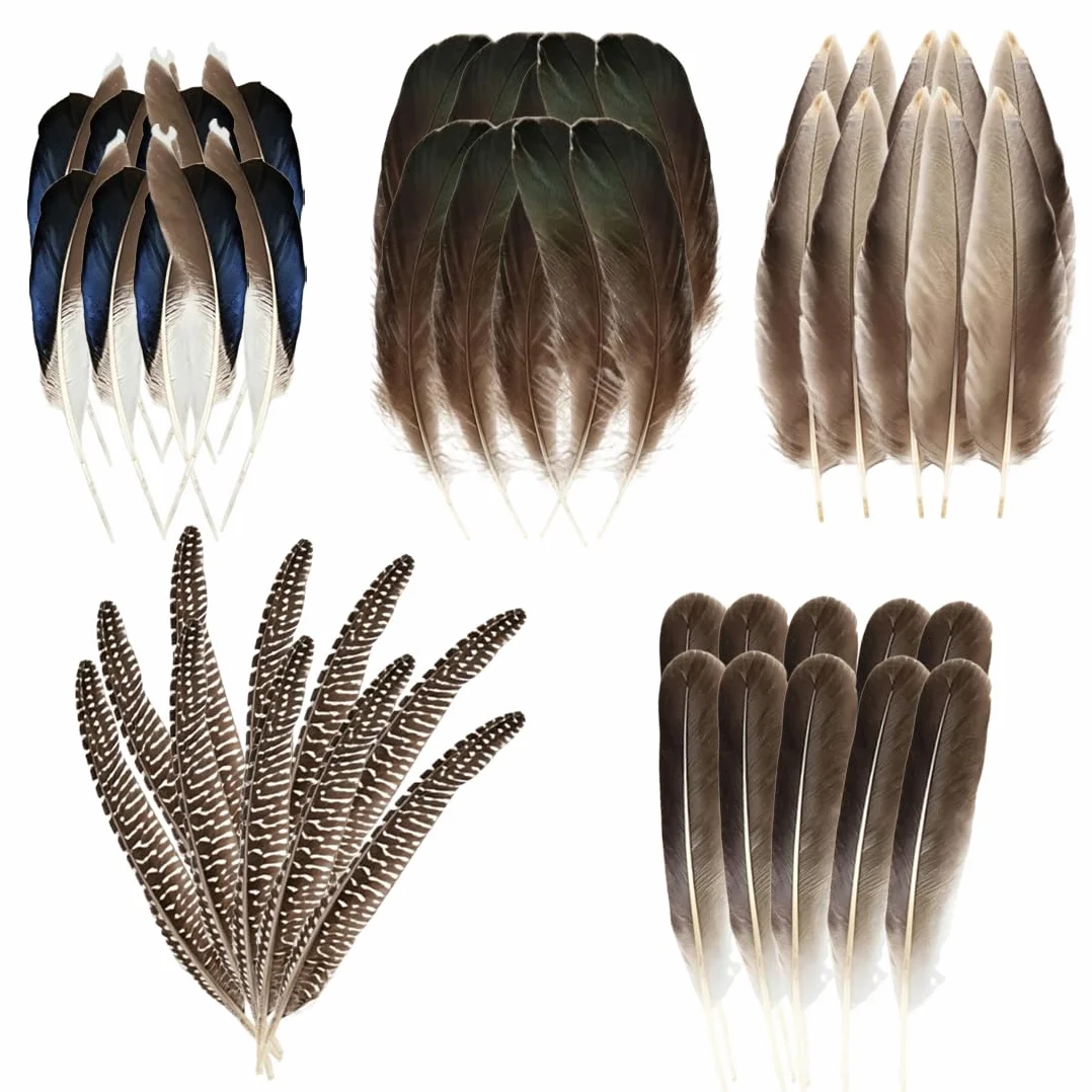 Piume naturali 50 pezzi fagiano colori assortiti per gioielli fai da te cappelli maschera festa