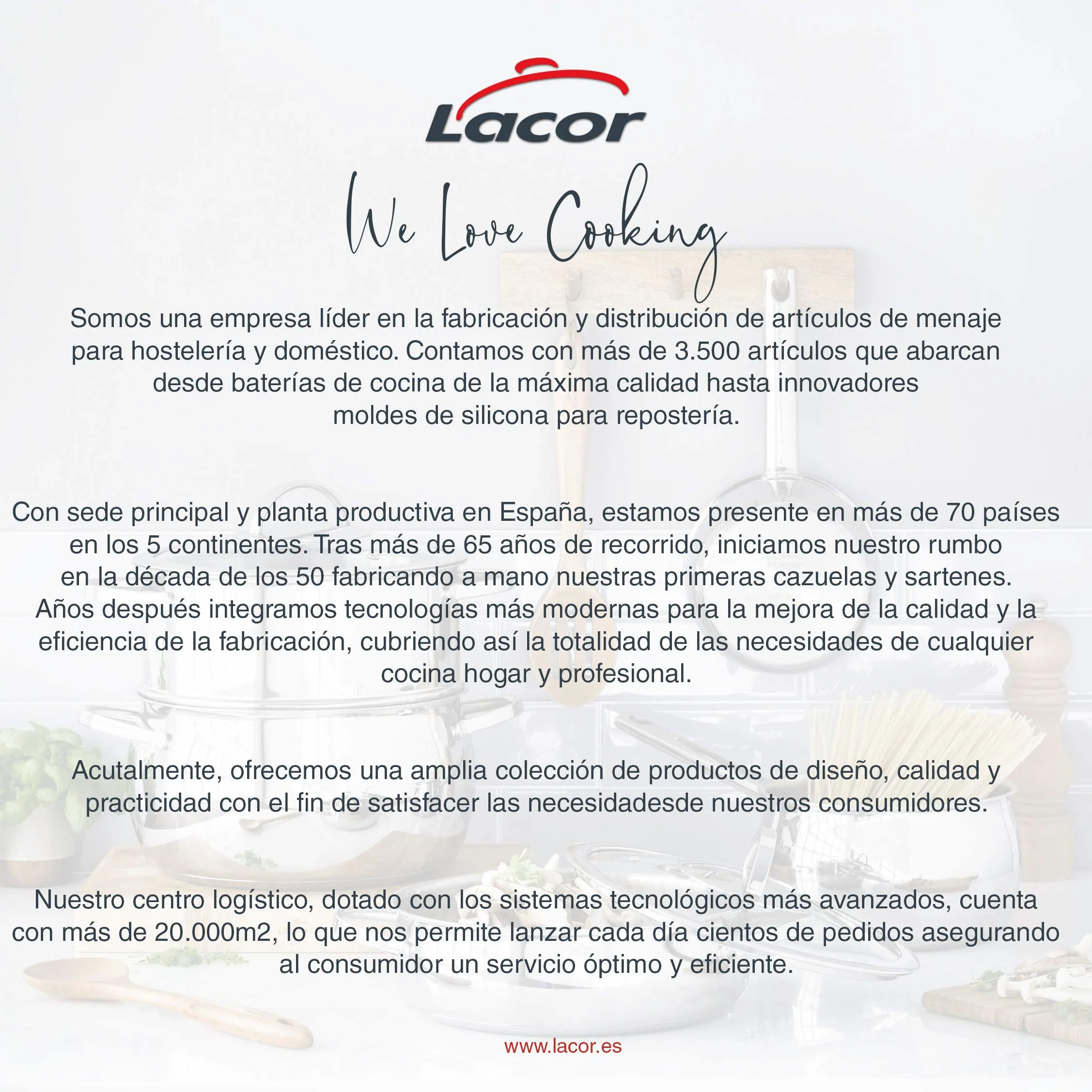 Lacor - 50450 - Farinatore in acciaio inossidabile, Setaccio di farina, Ideale per infarinare o pannare alimenti, Pulizia facile, per cucine professionali, acciaio inossidabile, 50 x 26, 5 x 18 cm