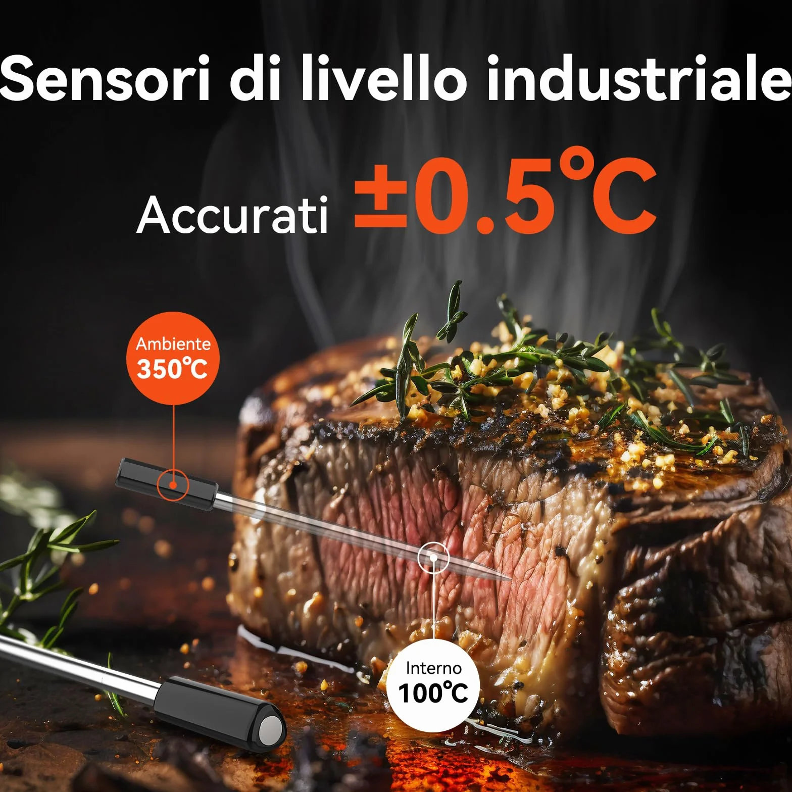 Termómetro para Carne WiFi Bluetooth IP67, Monitoraggio App Timer Allarme, Wireless per Barbecue Forno Griglia