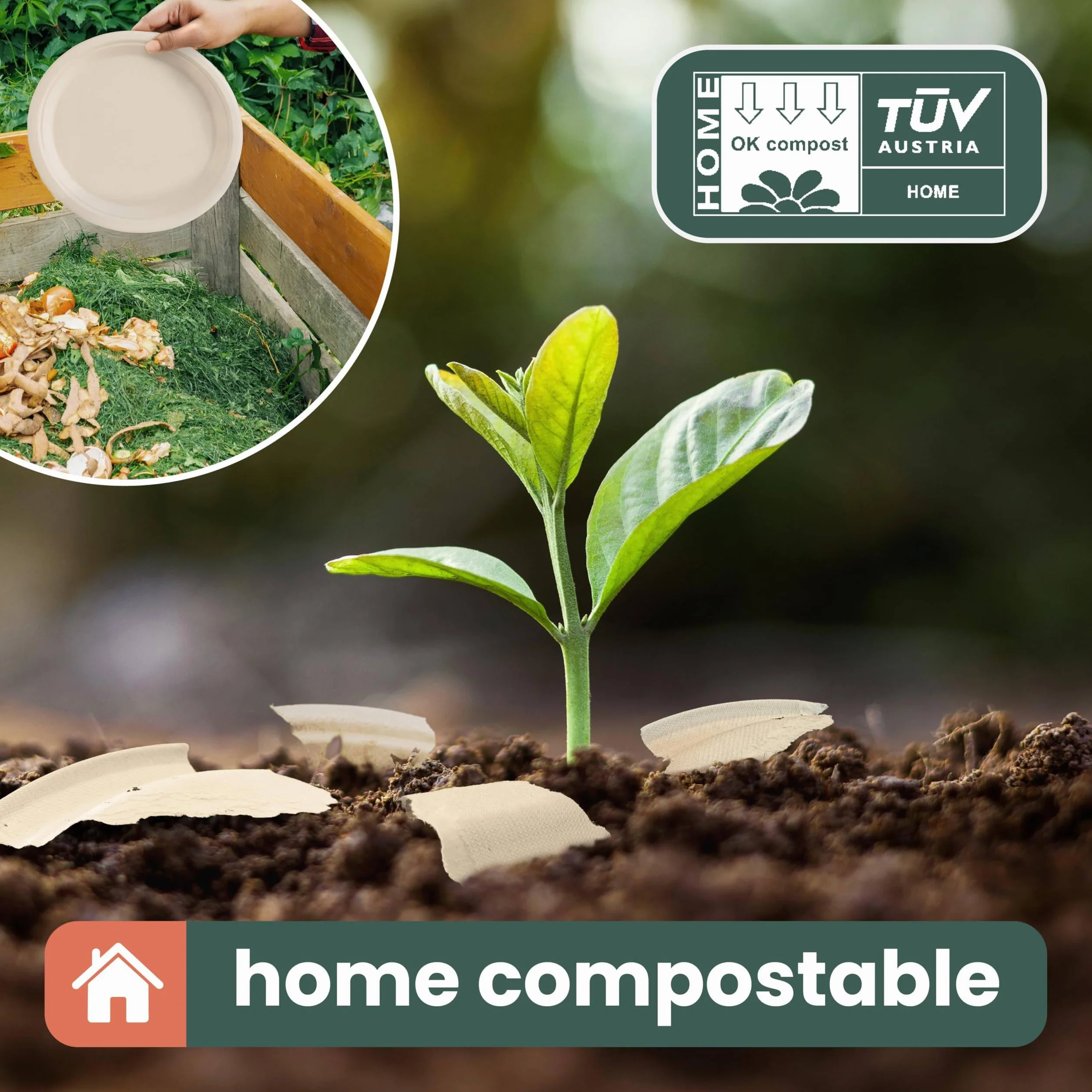 HAAGO Piatti Compostabili in Canna da Zucchero 18 cm 7" - Piattini Dessert Usa e Getta Resistenti Antigrasso