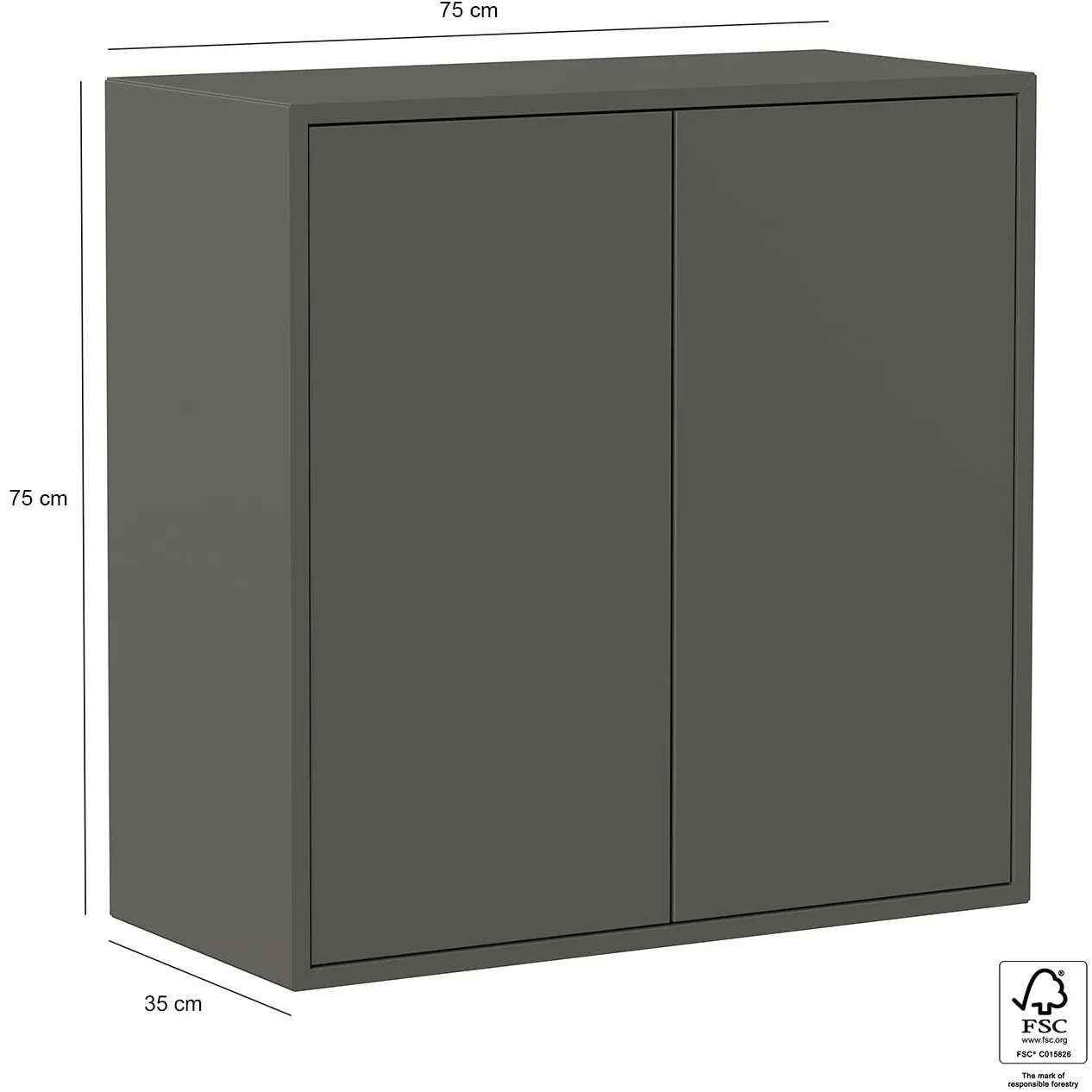 Iconico Home QBE Cubo da parete, 1 ripiano, con 2 ante apertura a pressione, Ingresso, Soggiorno, Camera da letto, Cameretta ragazzi, Studio, 75x35xh75 cm, Grigio scuro