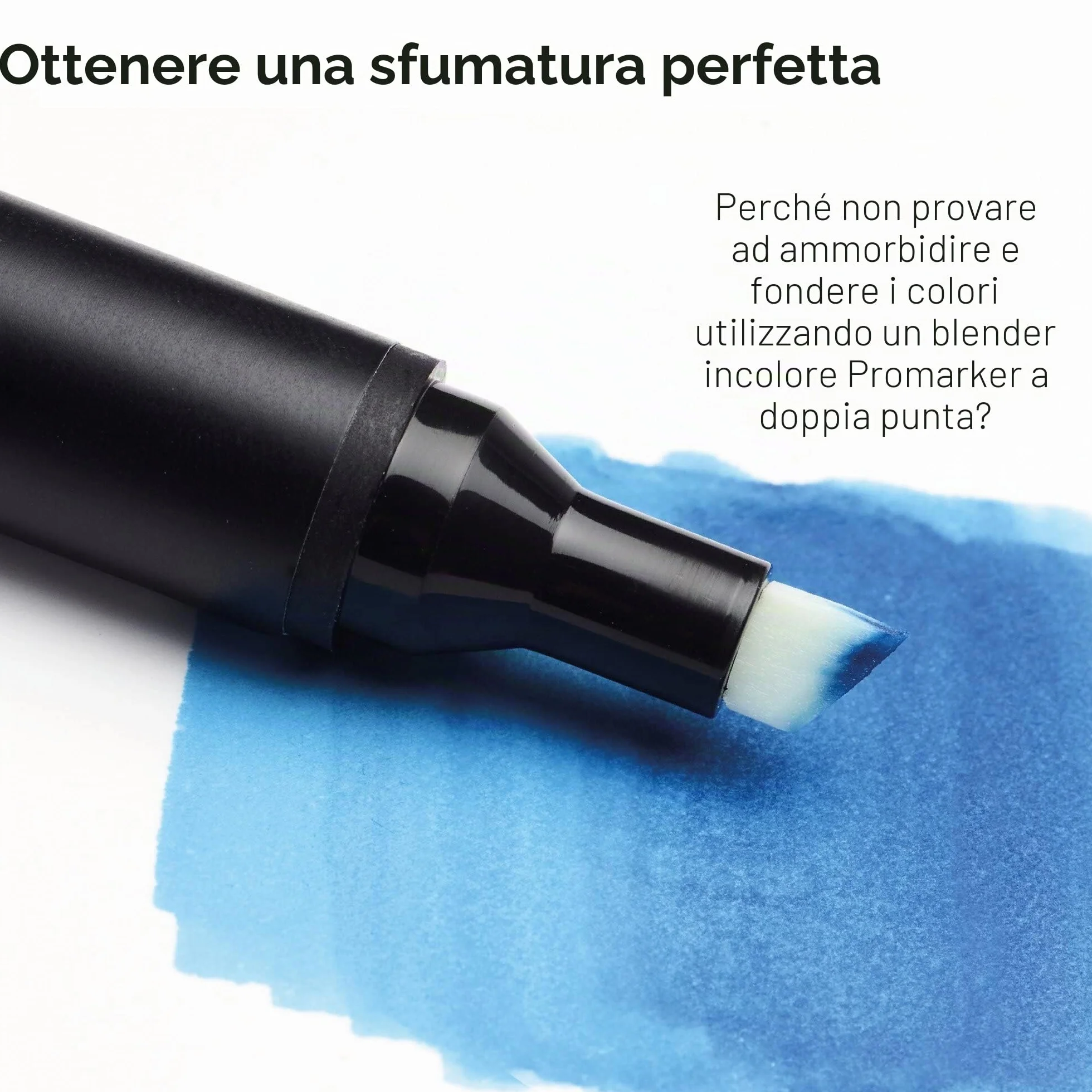 Winsor & Newton Promarker Set 12+1 Blender Tinta Carne