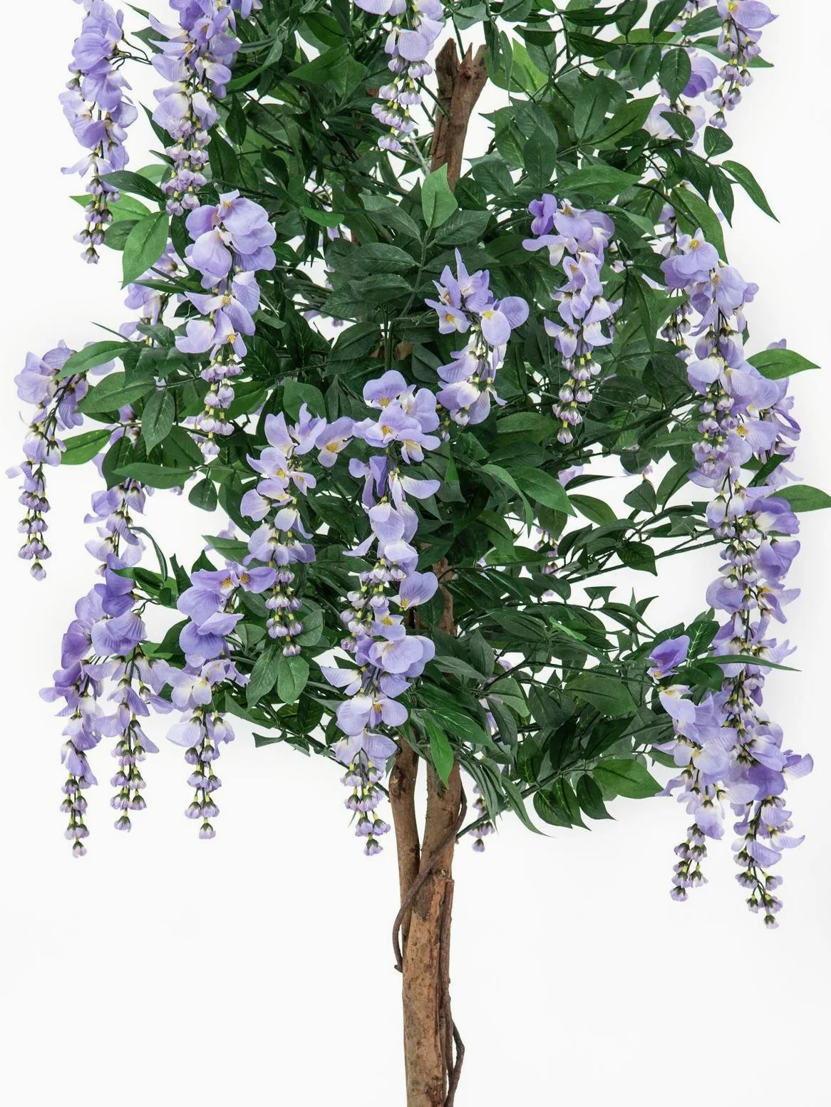 Europalms 180 cm Wisteria, Viola
