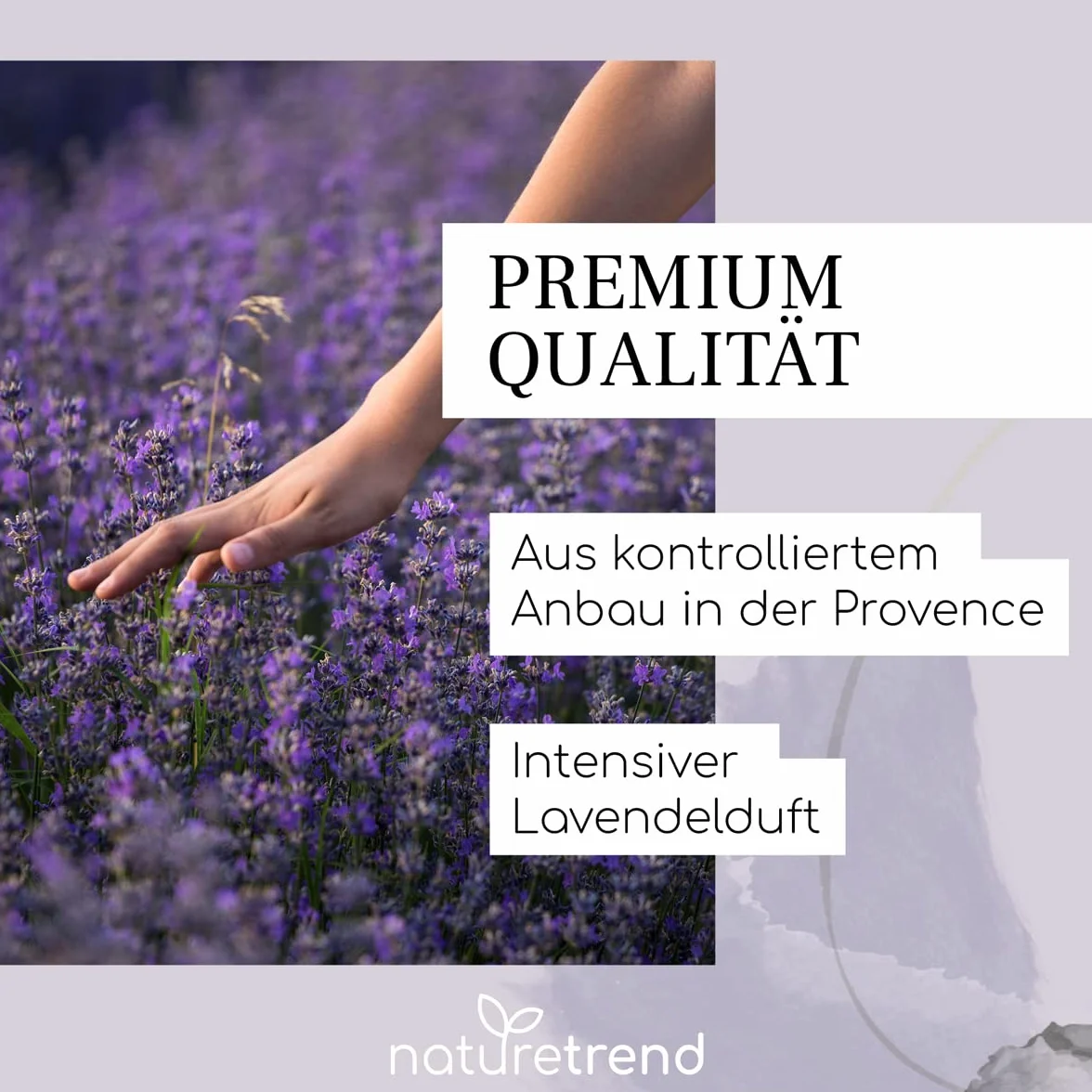 naturetrend Fiori di lavanda essiccati, 1 kg – lavanda francese della Provenza, nuovo raccolto, profumo intenso e bluastro, per cuscini profumati, profumo potpourri