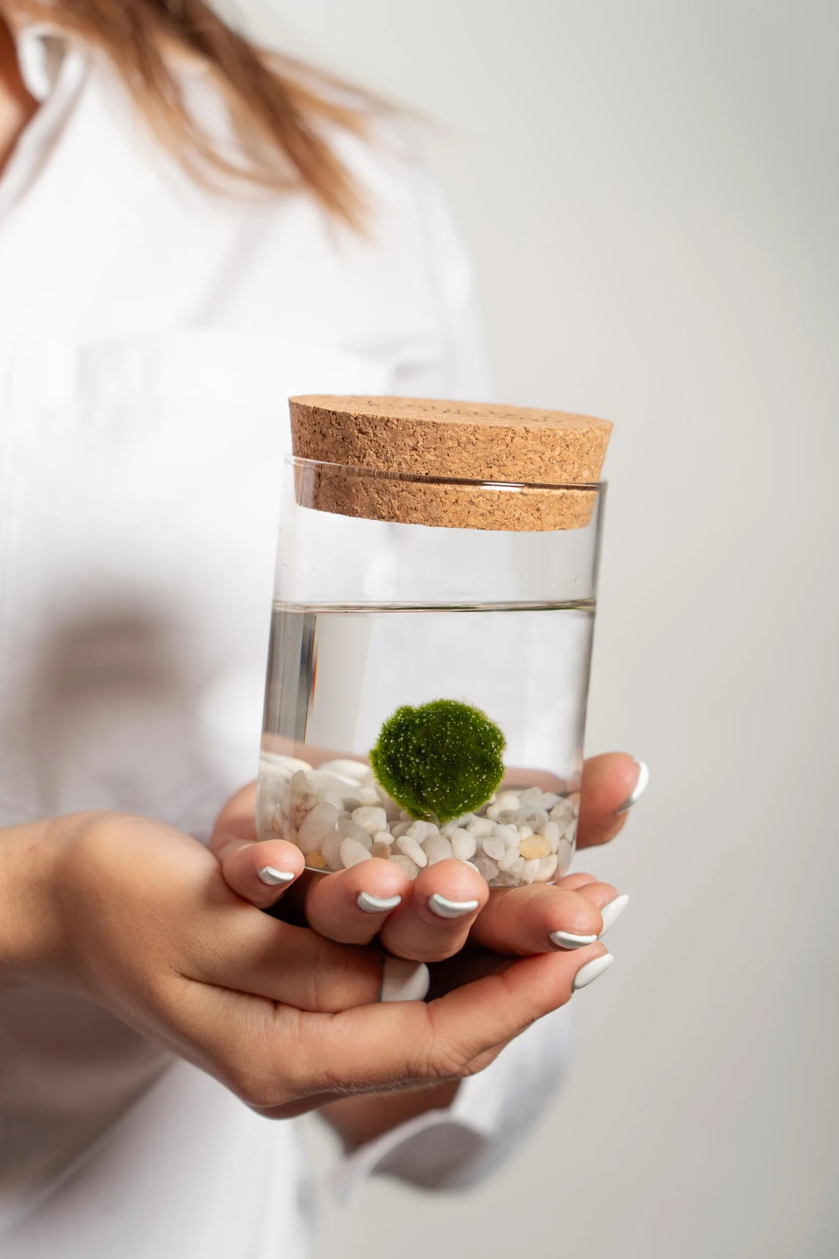 KAKI La Felicità è Nelle Piccole Cose Marimo Singolo Originale Vaso di Vetro con Tappo Sughero 8cm 11cm Made in Italy