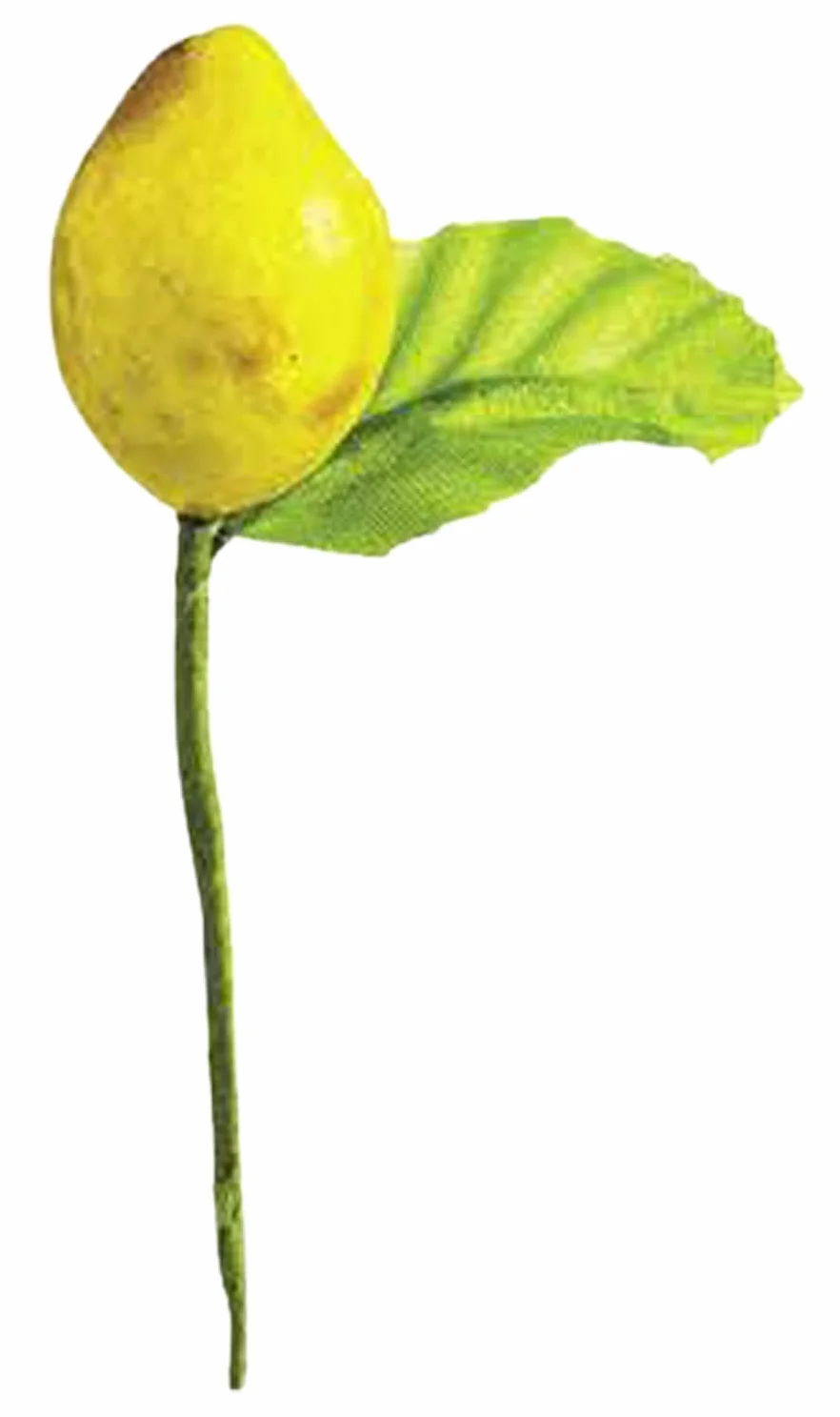 Limoni Medi Con Foglia Decorazione Bomboniera Frutto Limone Gialli Con Foglie Verdi