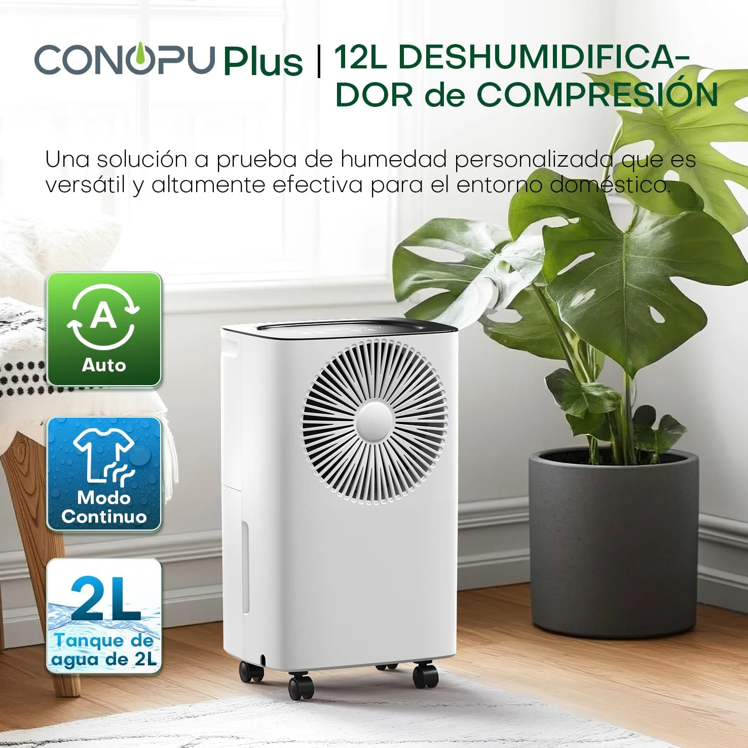 Deumidificatore Portatile 12 Litri/giorno, Scarico Continuo, Deumidificazione Auto, Modalità Sonno, Timer 24h, Deumidificatore Casa Muffa, per un'Esperienza Confortevole e Asciutta