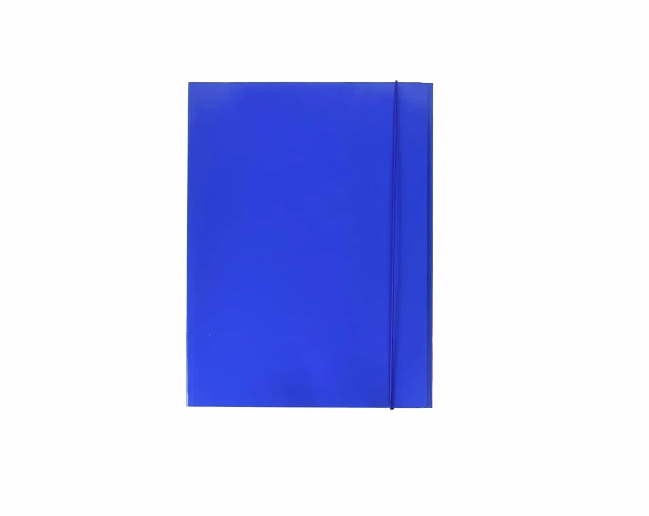 Alevar Cartella 3 Lembi con Elastico 600 g, Formato A4, Colore Blu, Confezione da 10 Pezzi