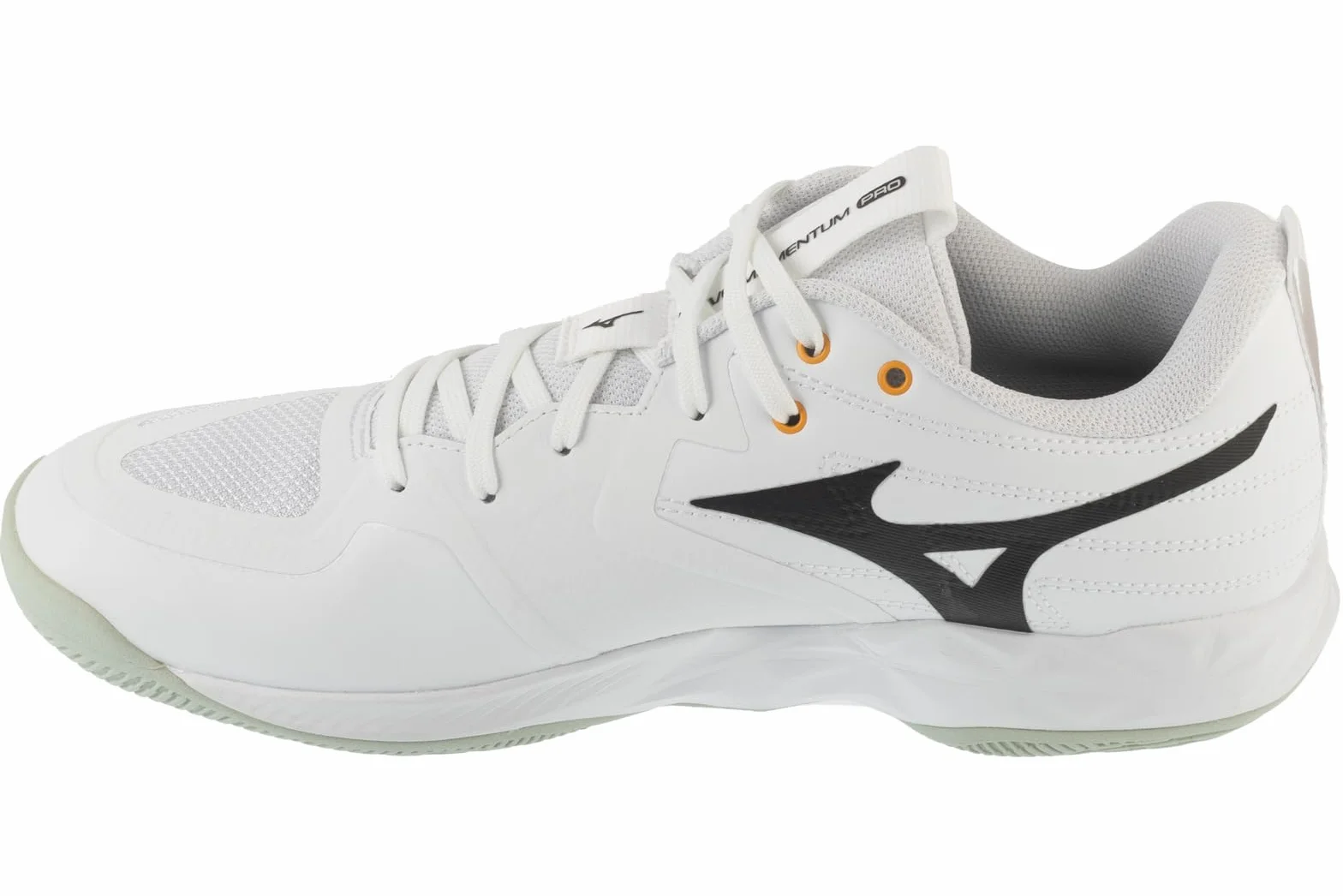 Mizuno Scarpe da pallavolo Uomo