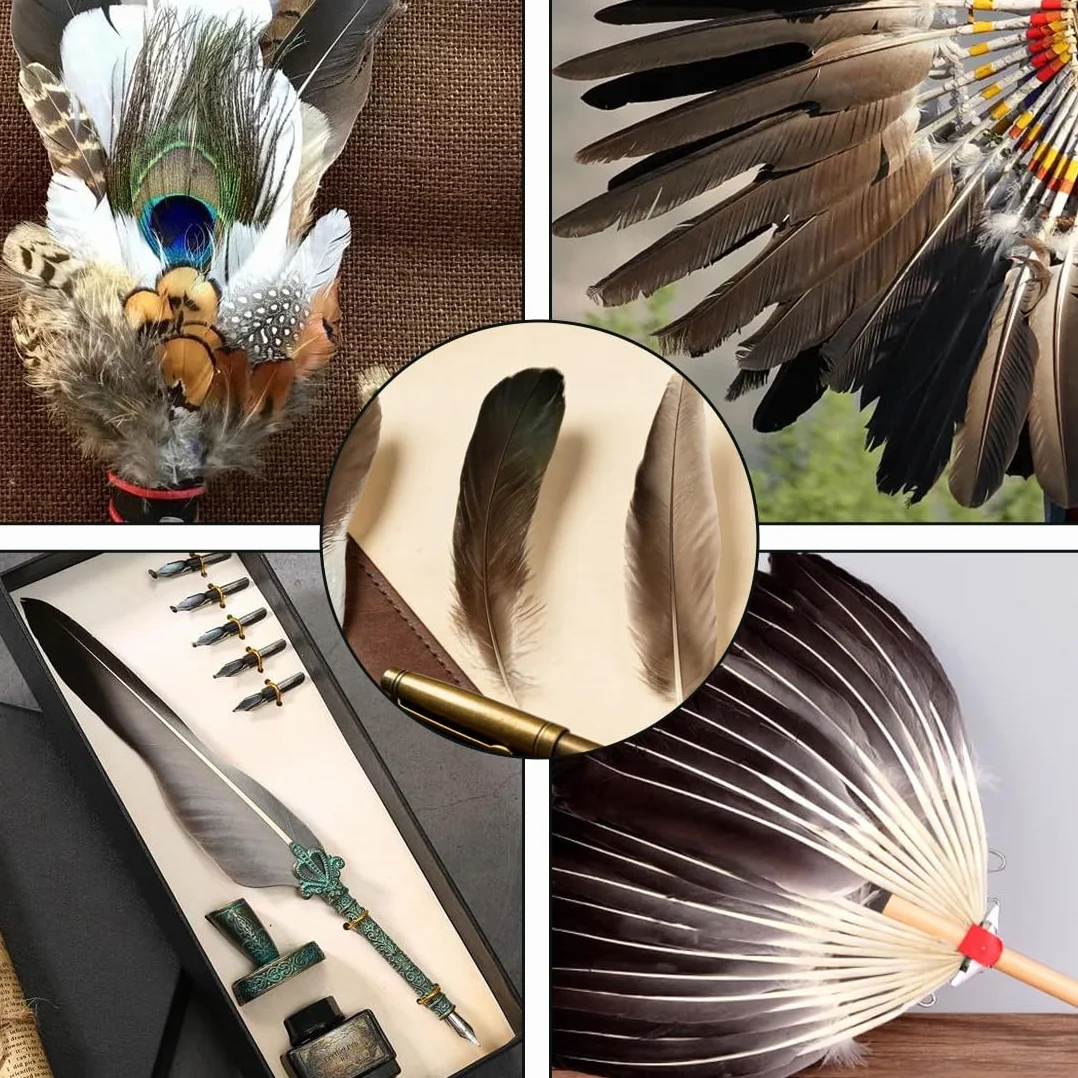 Piume naturali 50 pezzi fagiano colori assortiti per gioielli fai da te cappelli maschera festa