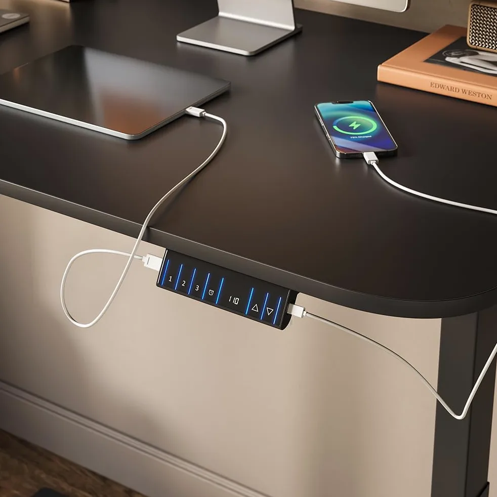 Vicco Scrivania Elevate, Nero/Antracite, 120 x 70 cm | 2 motori, adatto all'uso come postazione di lavoro o scrivania per computer