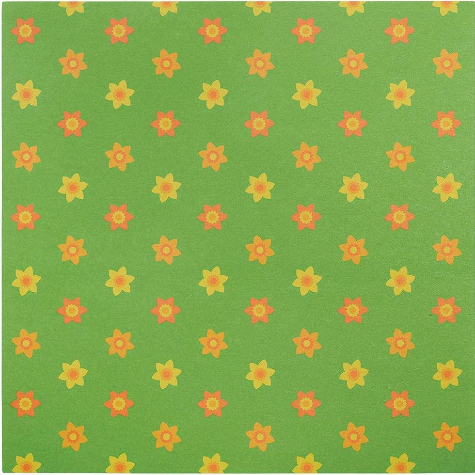 Baker Ross Carta Colorata con Motivi di Fiori Set 48