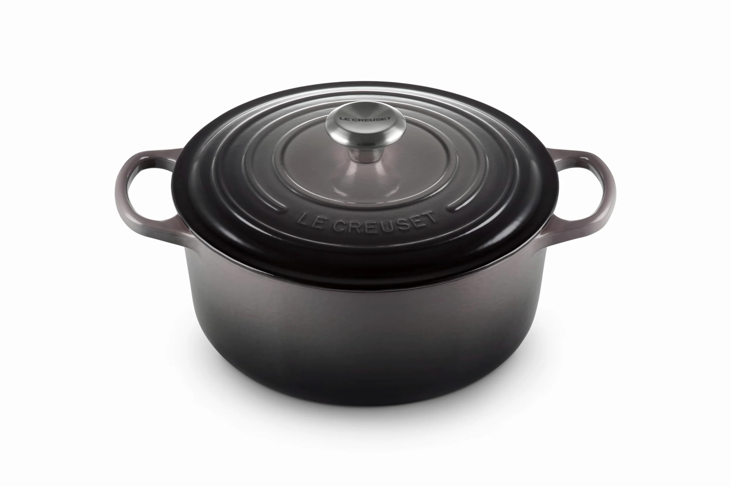 Le Creuset Evolution Casseruola in Ghisa con Coperchio, Diametro 26 cm, Rotonda, Adatta a Tutte le Fonti di Calore, Inclusivo Induzione, Volume: 5.3 l, 5.135 kg, Grigio (Flint)
