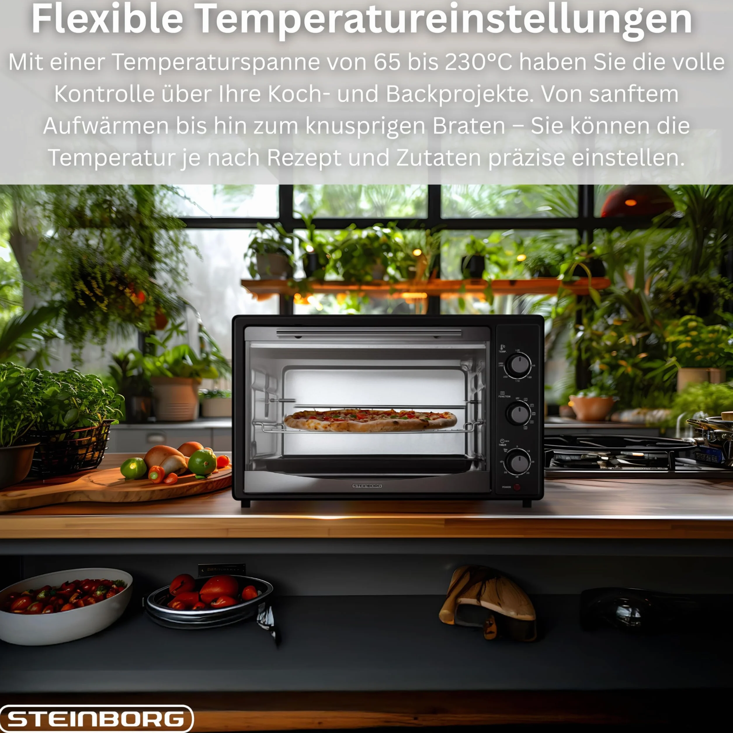 Forno da 45 litri con convezione, spiedino elettrico | 1800 Watt | forno a convezione | forno per pizza | illuminazione interna | teglia e griglia