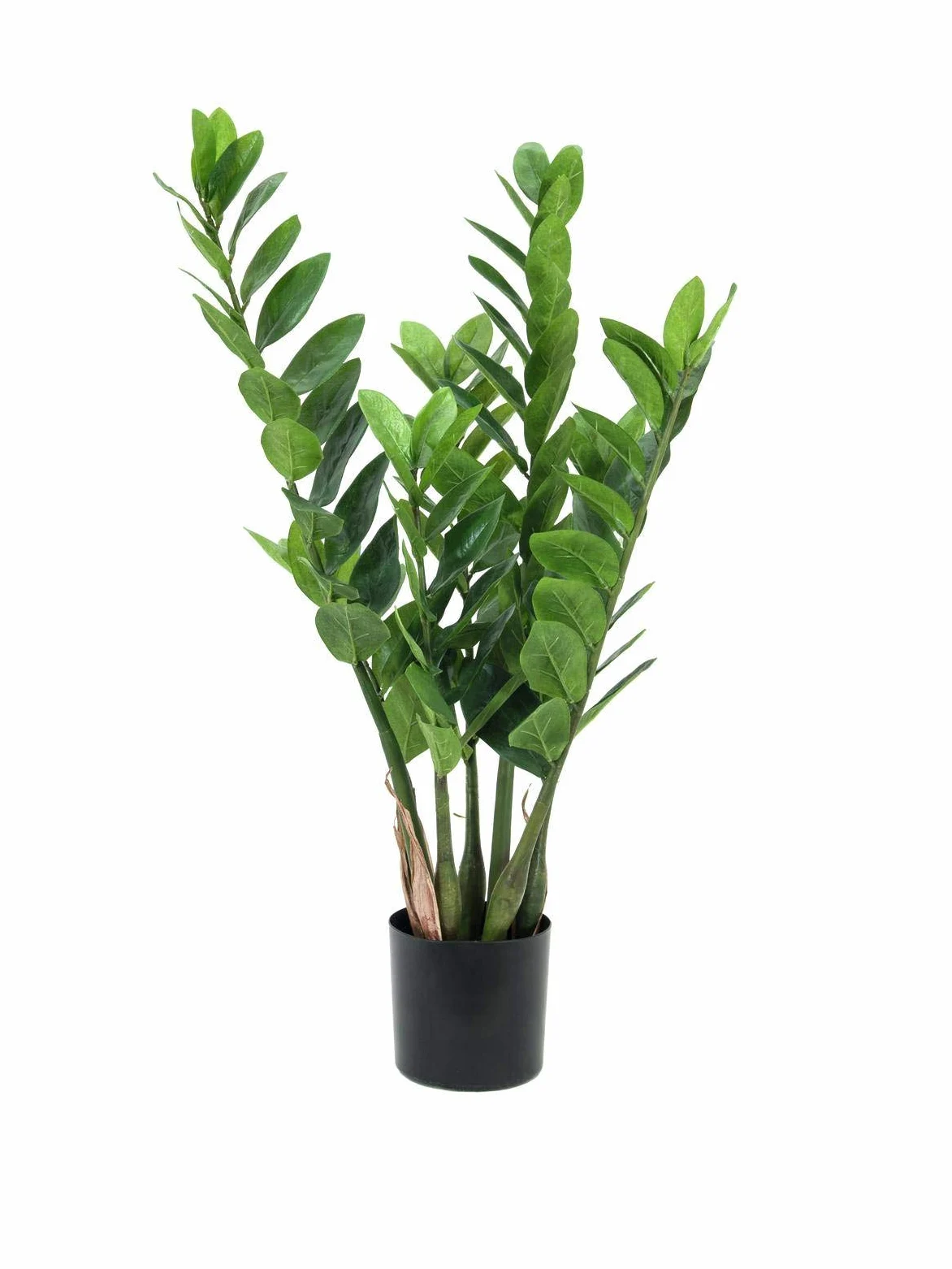 artplants.de Gemma di Zanzibar Artificiale (Zamioculcas zamilifolia), in Vaso, 7 Rami, 70cm - Cespuglio Artificiale/Pianta Ufficio