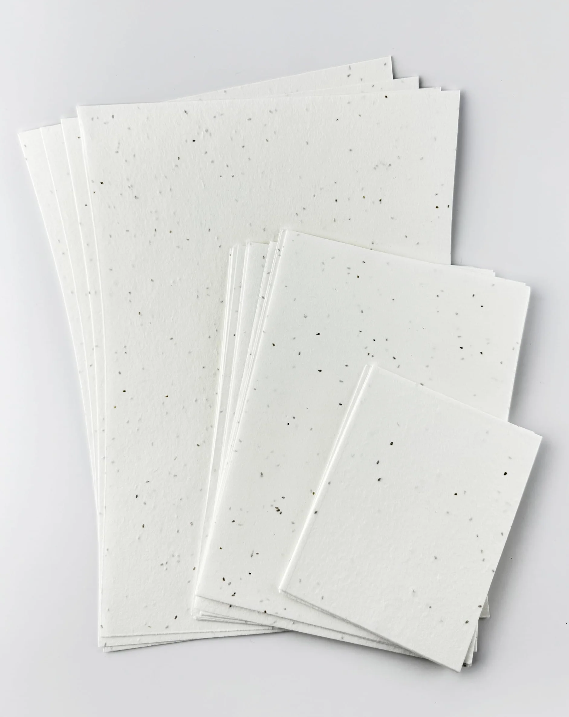 Carta con semi di margherita o camomilla | Carta da parati 150 gsm e dimensioni 210 x 297 mm (A4) | Fogli sfusi di carta piantabile per biglietti, brochure, menu, inviti. (100)