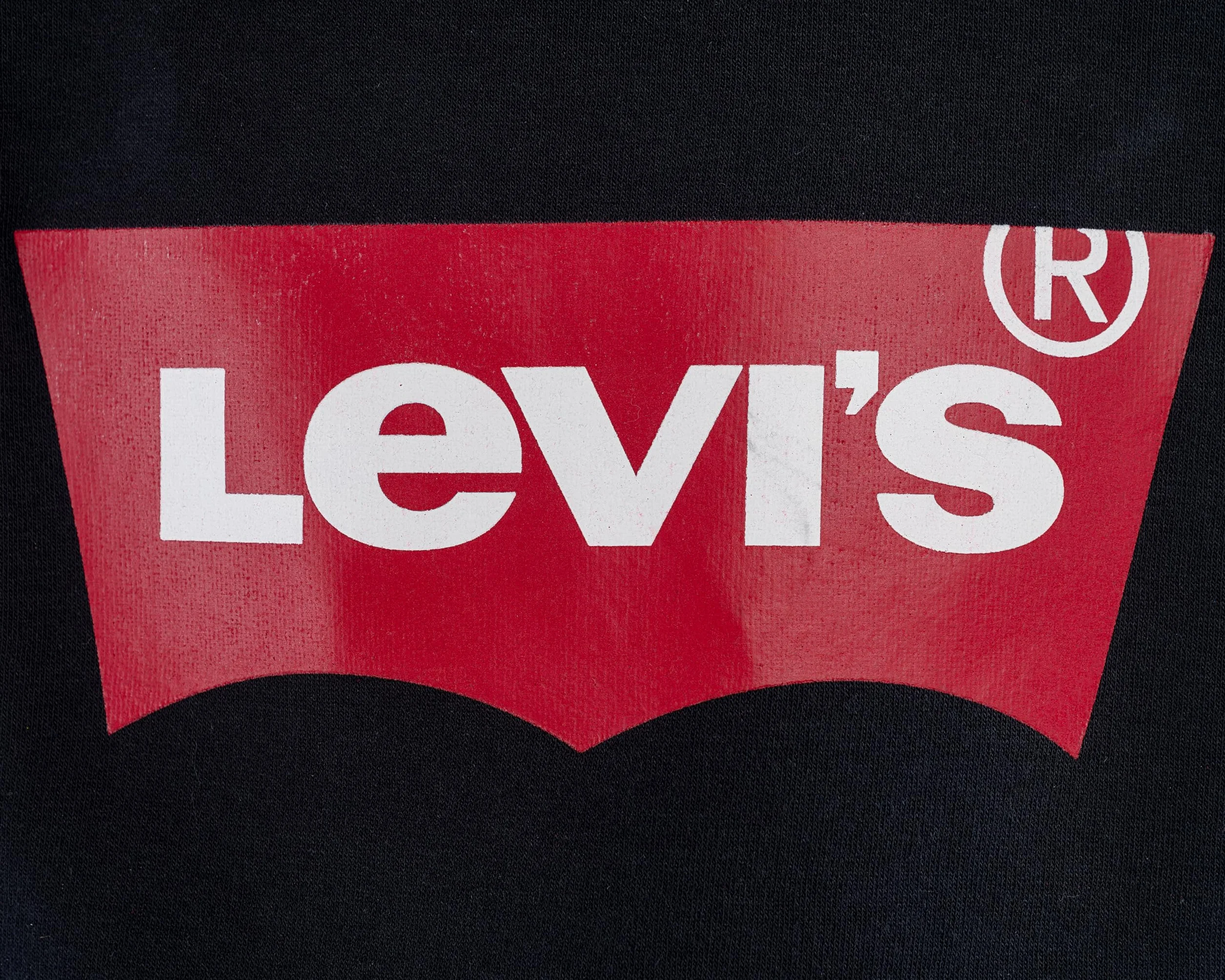 Levi's Batwing Crewneck Sweatshirt Ragazzo