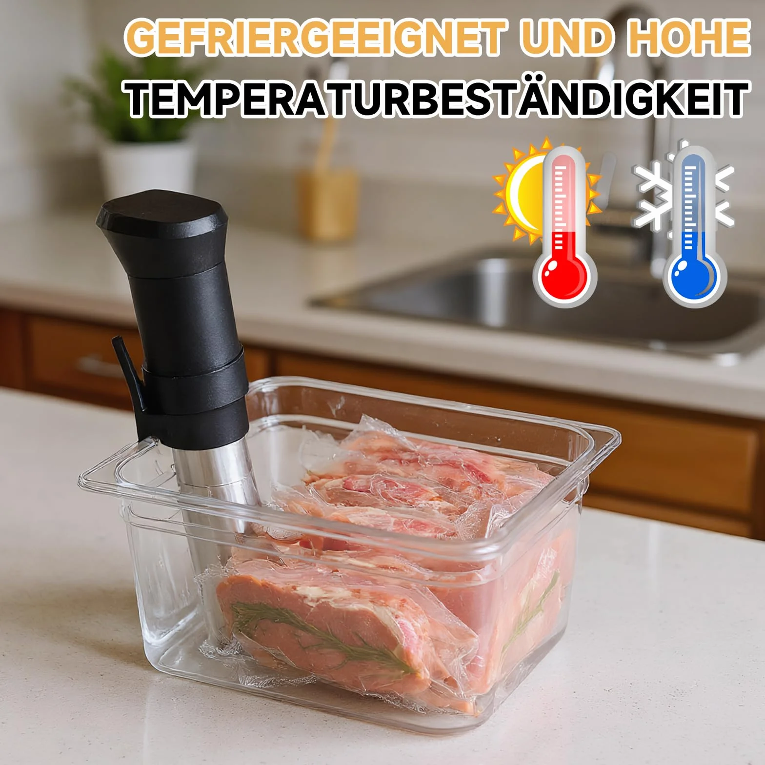 Sous Vide Contenitore a Bassa Temperatura 11 Litri con Coperchio e Vassoio per Bistecche