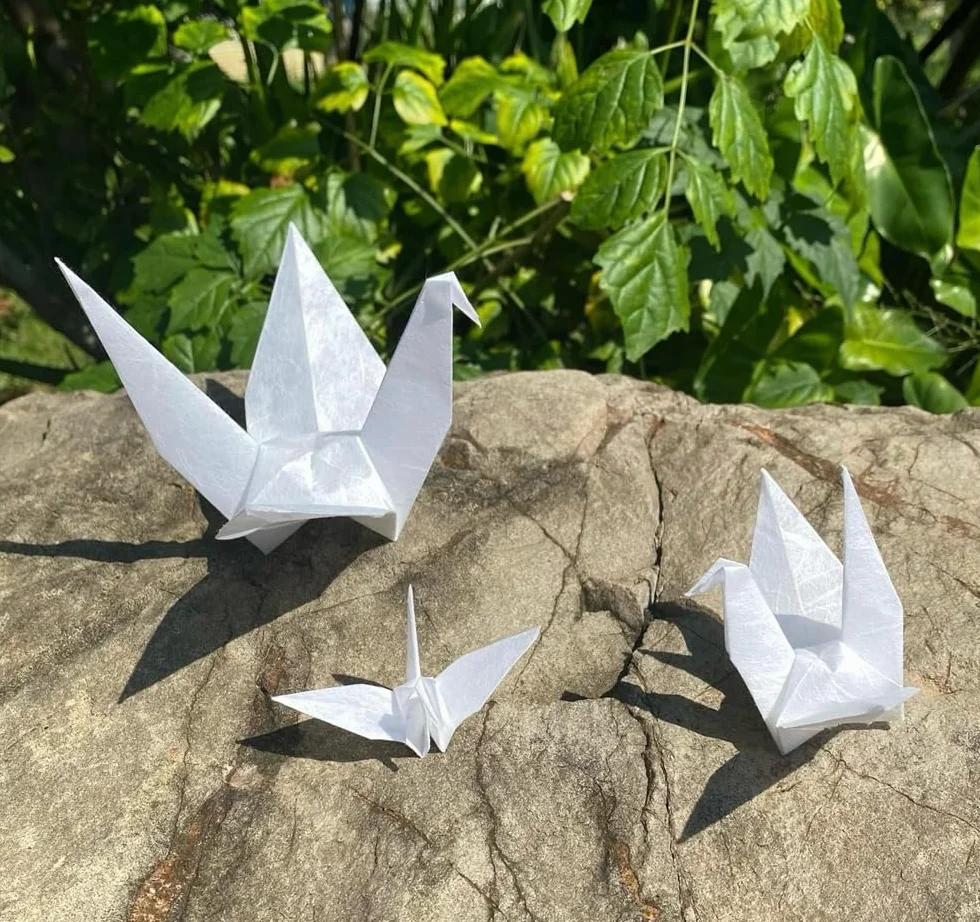 Carta Washi A4 fibra naturale gelso per origami artistici, biglietti fai da te (bianco crema)