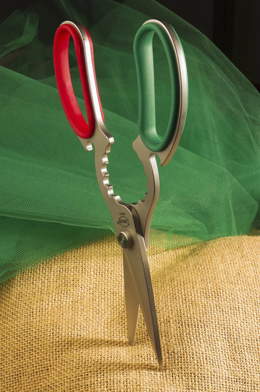 Sanelli Premana Professional Forbice Cucina, Acciaio Inossidabile, Verde/Rosso, 21 x 1 x 7.5 cm