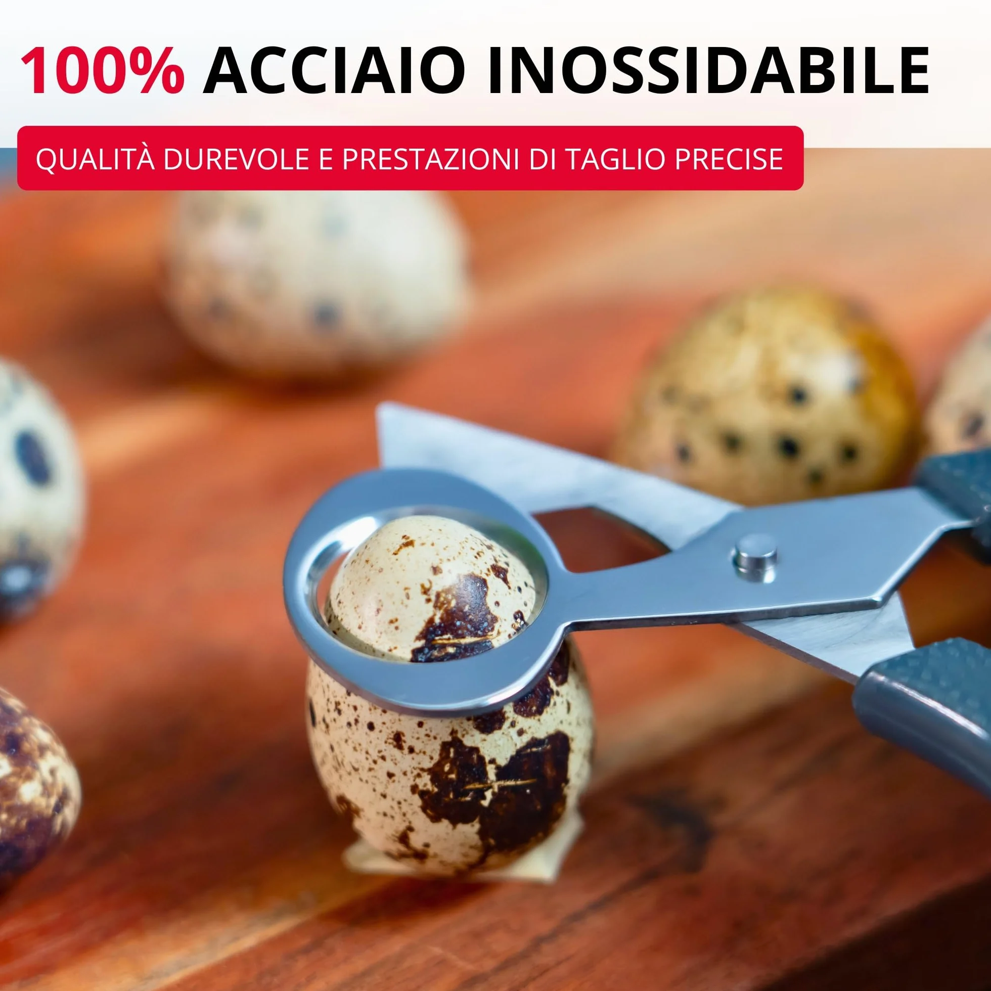 Westmark Forbici per Uova di Quaglia 1 Pezzo, Forbici da cucina per uova di quaglia, Apri guscio d'uovo in acciaio inossidabile preciso, Nero/argento