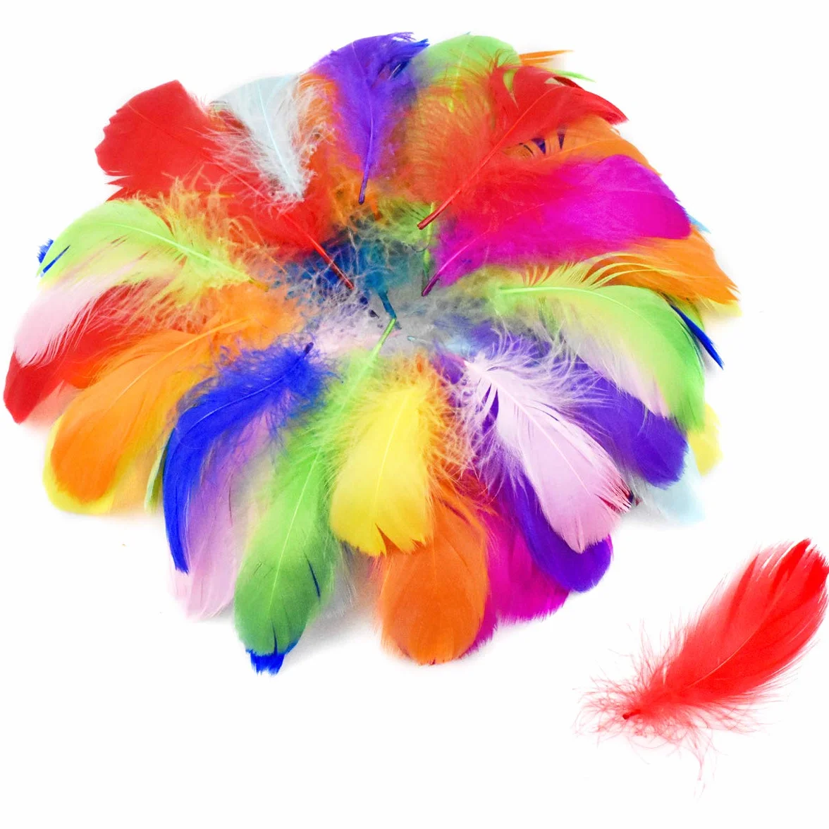 Piume Colorate Naturali 100 Pezzi per Acchiappasogni Fai da Te, Cappelli, Carnevale