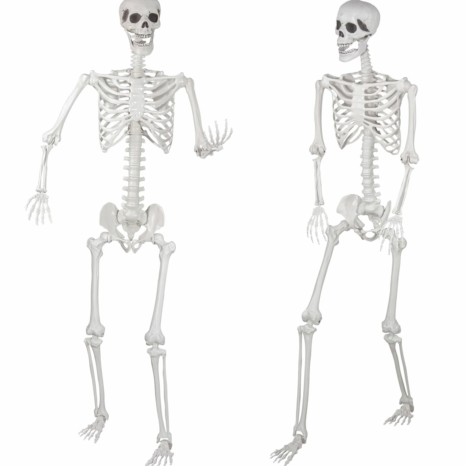 Scheletro a grandezza naturale per Halloween, 180 cm con articolazioni mobili, per decorazioni spaventose per feste di Halloween (2Pcs)