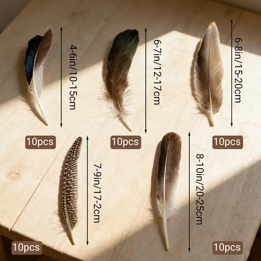 Piume naturali 50 pezzi fagiano colori assortiti per gioielli fai da te cappelli maschera festa