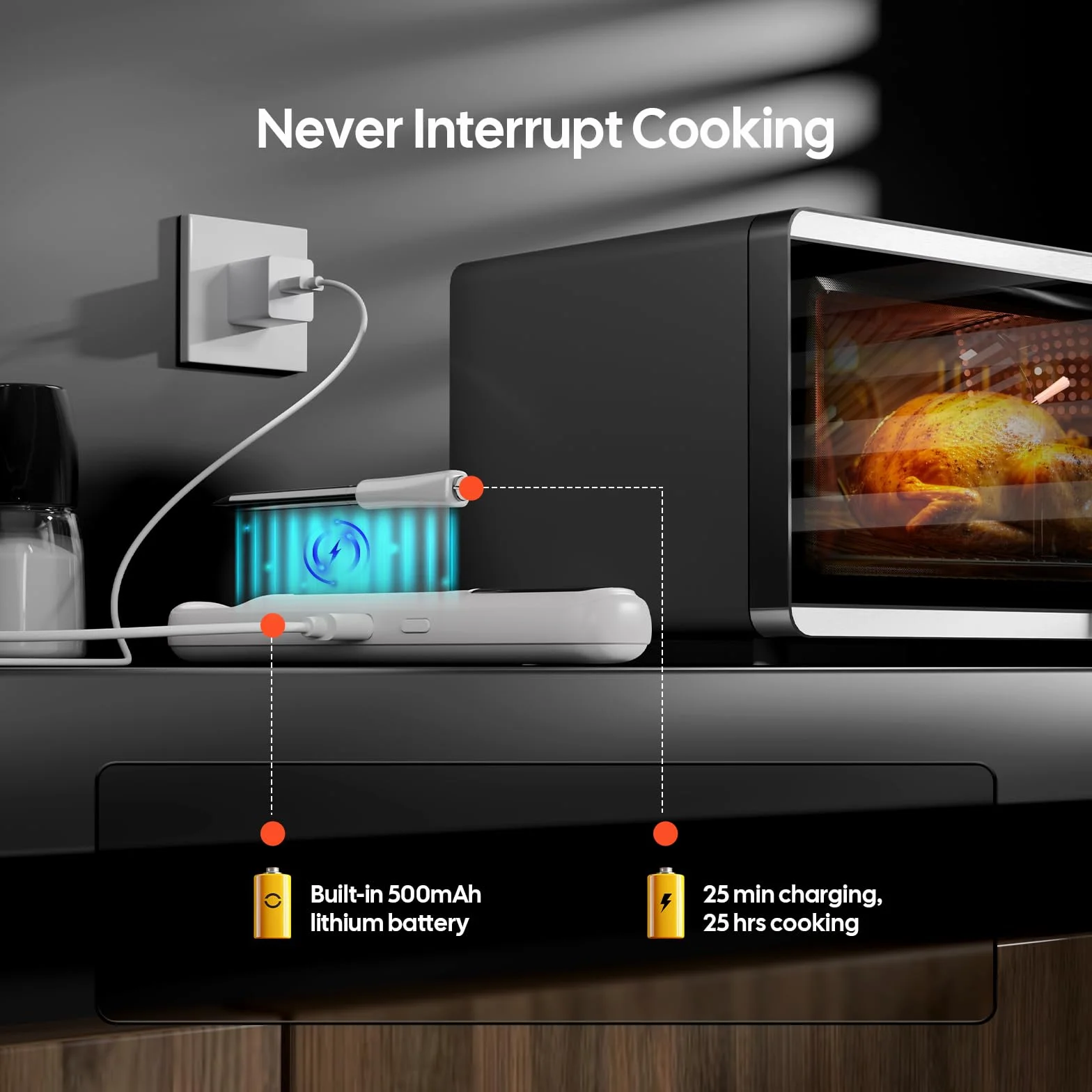 INKBIRD Termometro per Carne Wireless Bluetooth 5.4 305m IP67 Impermeabile