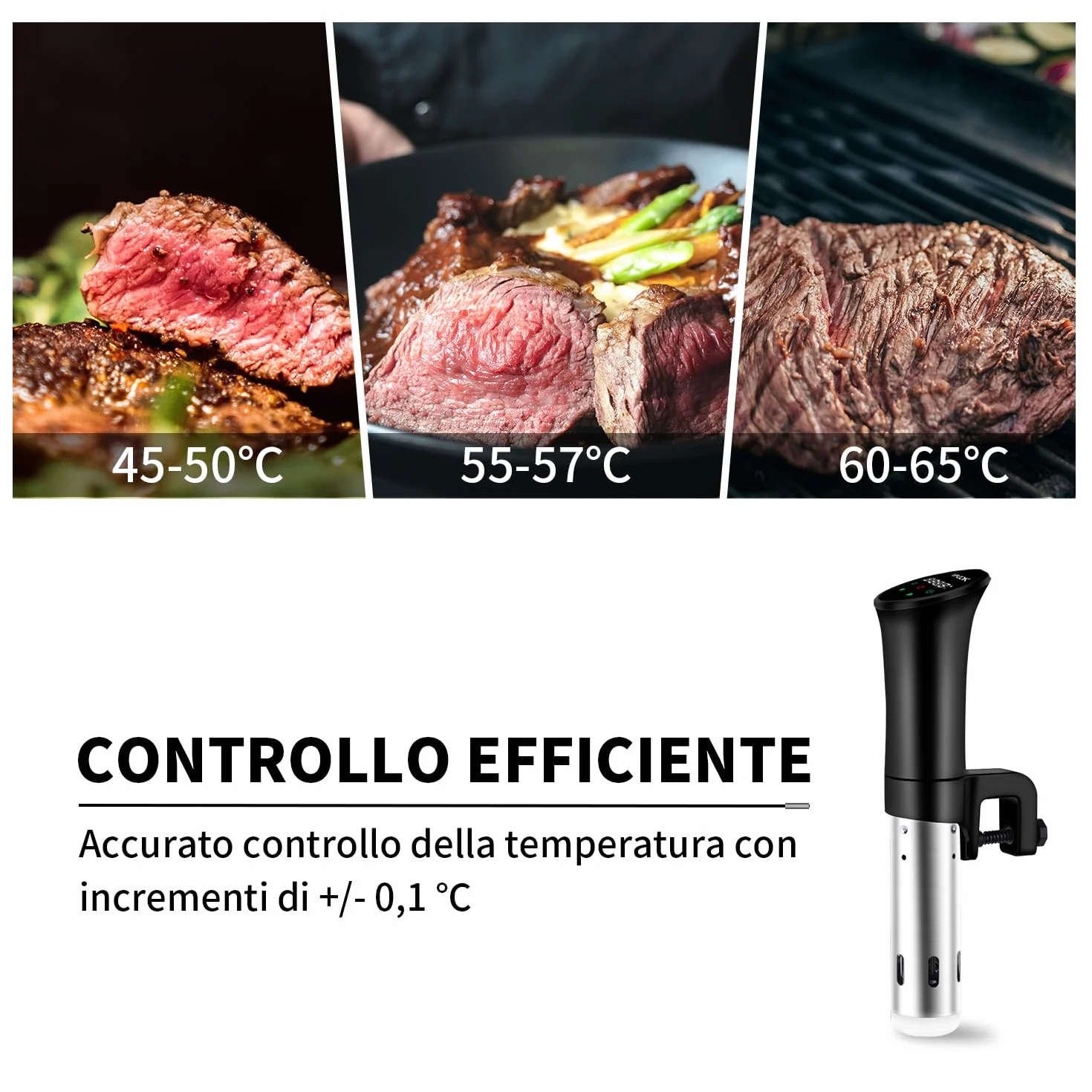 Sous Vide Roner Cucina Professionale Circolatore Termico a Immersione Inox con Ricettario e Custodia