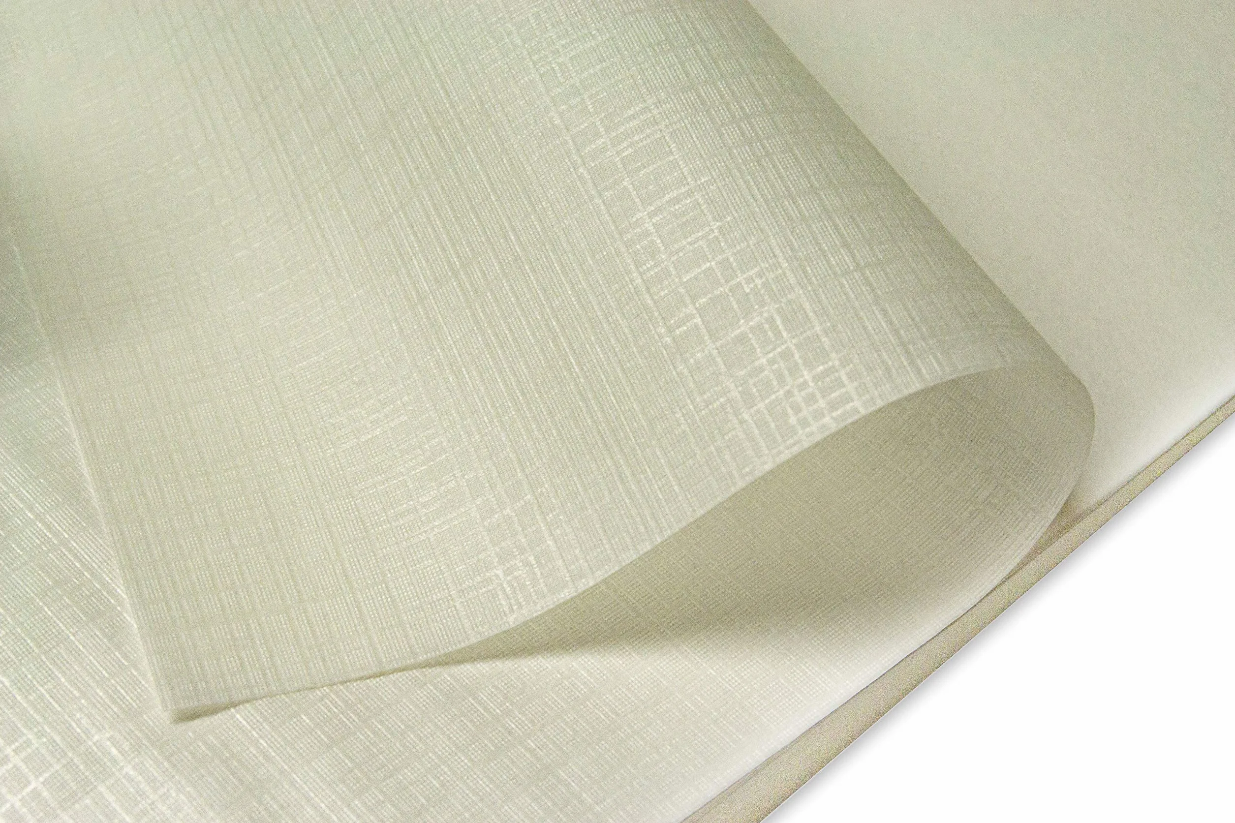 Album Fotografico 20X25 Cm 60 Pagine Bianche in Cartoncino Spesso e Resistente Intervallate da Pergamino Formato 20x25, Beige