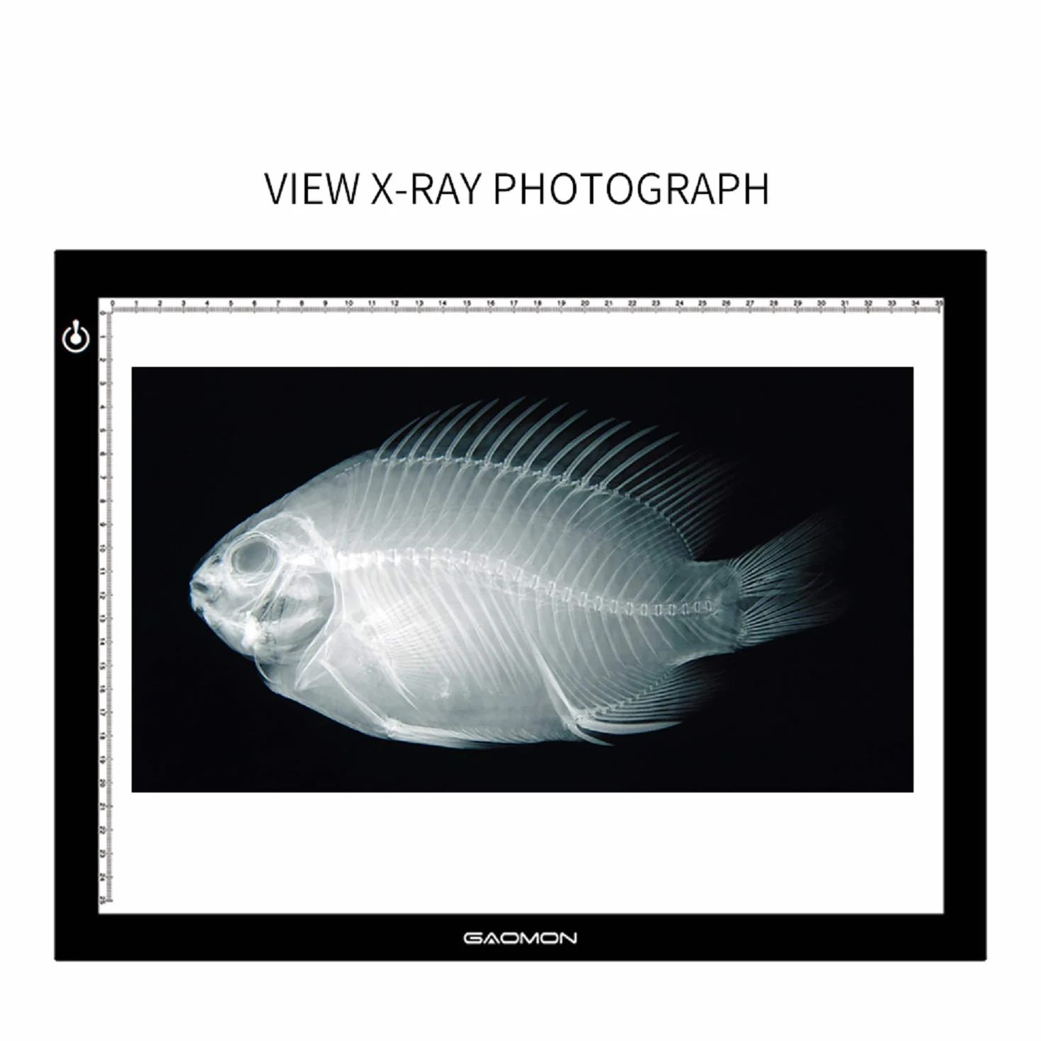 GAOMON GB4 LED Tavoletta Luminosa per Sketch e Copia