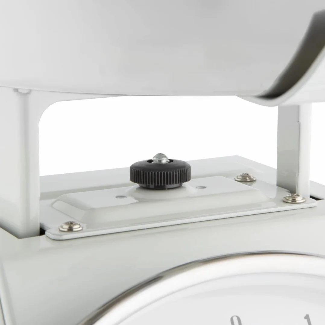 Weighstation Bilancia da Cucina Resistente da 10 kg con Acciaio Inossidabile