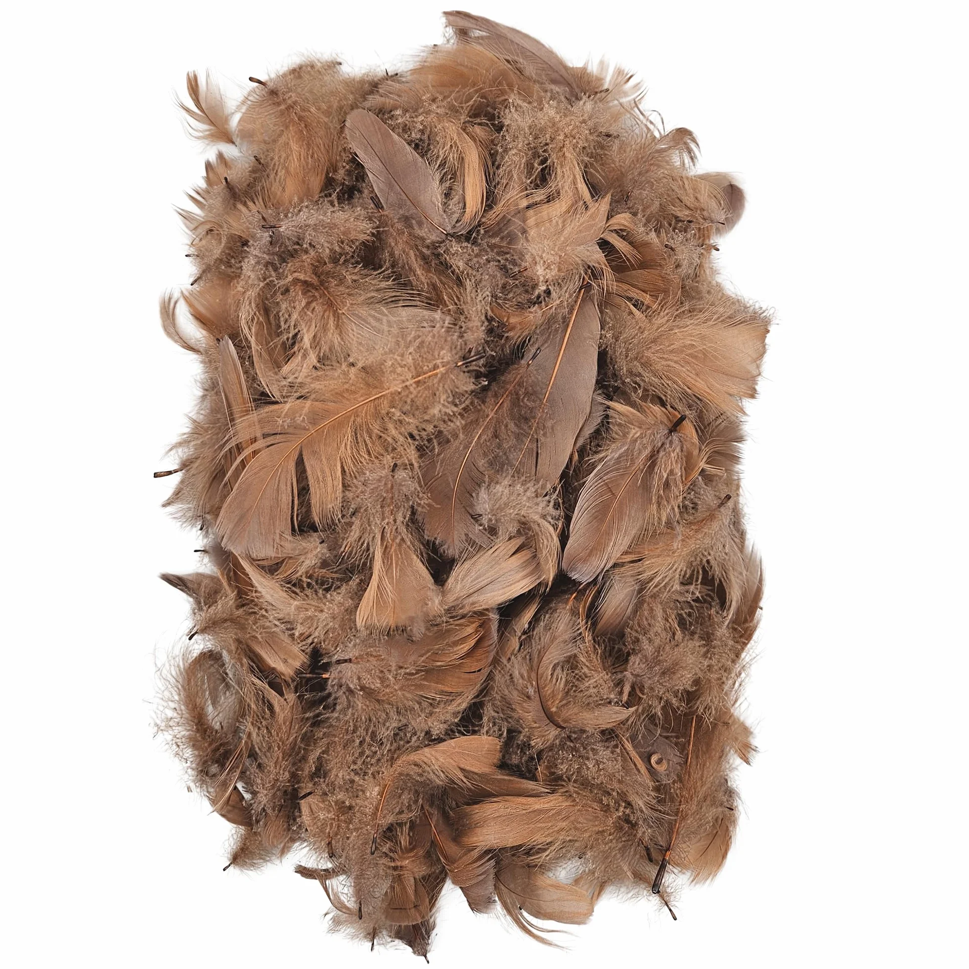 Piume decorative naturali marrone chiaro 10g Netuno 150 per decorazione Pasqua Natale