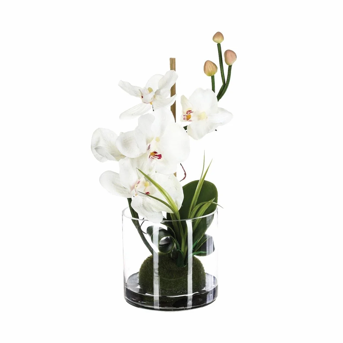 ATMOSPHERA CREATEUR D'INTERIEUR - Composizione di orchidee artificiali in vaso di vetro H37cm