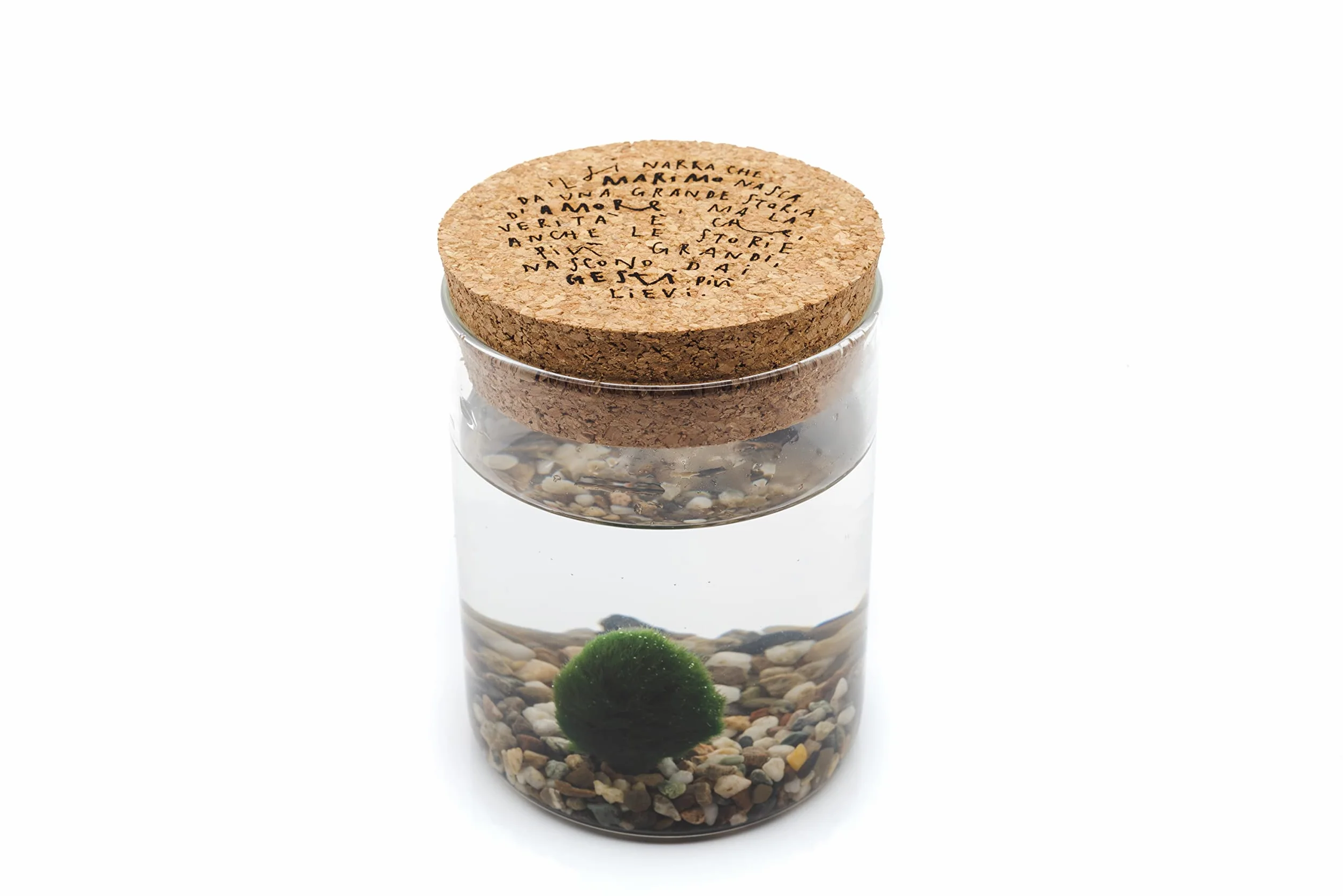 KAKI La Felicità è Nelle Piccole Cose Marimo Singolo Originale Vaso di Vetro con Tappo Sughero 8cm 11cm Made in Italy