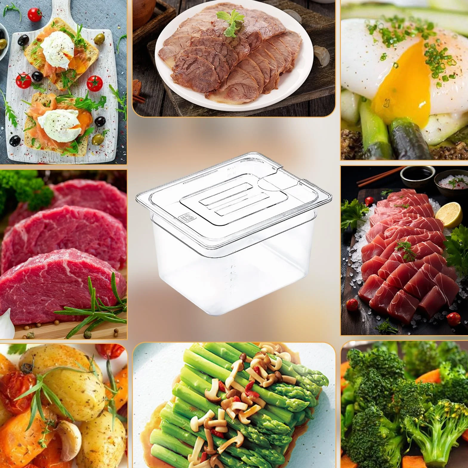 Sous Vide Contenitore a Bassa Temperatura 11 Litri con Coperchio e Vassoio per Bistecche