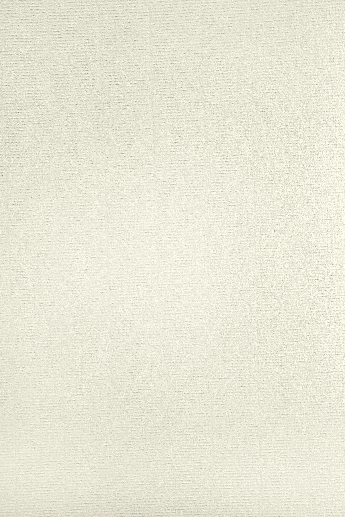 Aster Laid Ivory Netuno 50x carta vergata avorio A4 120g per inviti stampa laser inkjet