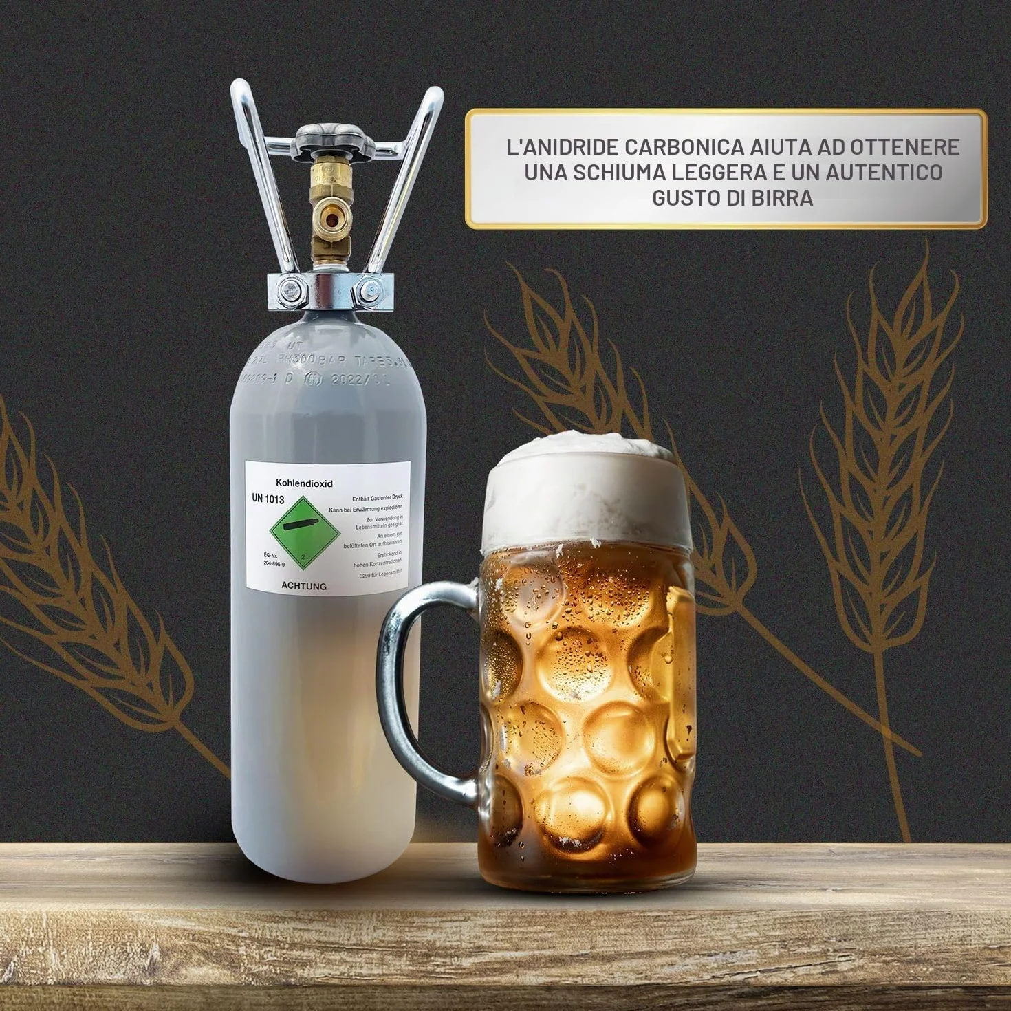 Bombola di CO2 - Bombola di stoccaggio riutilizzabile con anidride carbonica E290 - Bombola di anidride carbonica per sistema di erogazione (2 kg)
