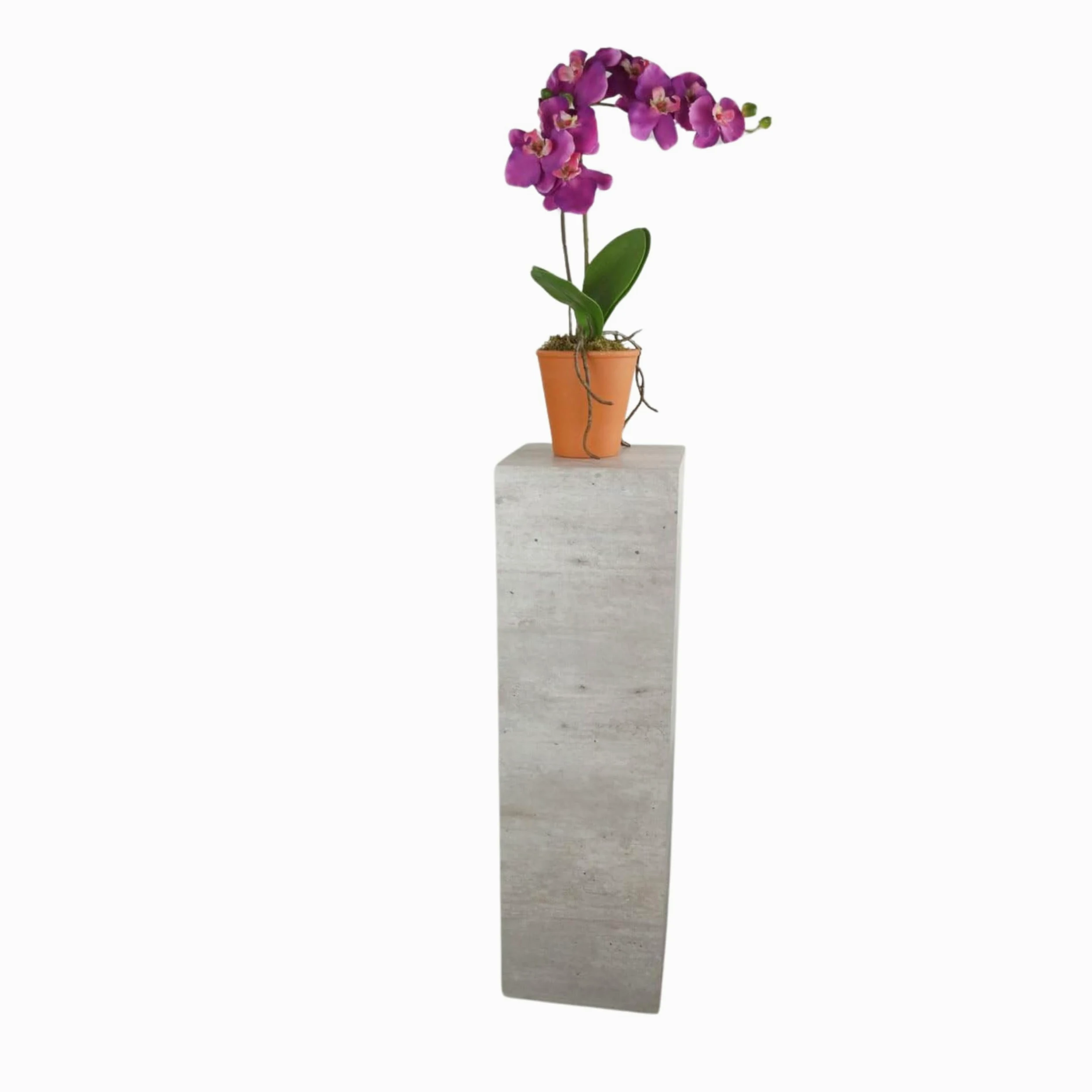 Colonna, colonna decorativa, piedistallo, Ilja, effetto cemento, diverse misure (20 x 20 x 70 cm)