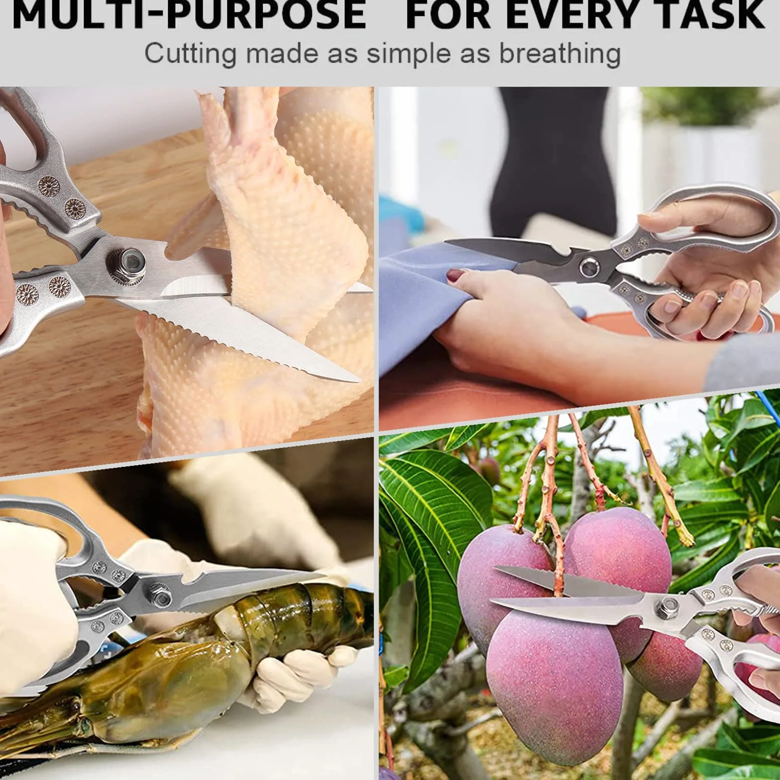 Forbici da Cucina Resistenti,5 in 1 Trinciapollo Multifunzionali in Acciaio Inox,25cm Impugnatura Ergonomica e lame in titanio,per Casa Uso,Osso di Pollo,Carne,Verdura,Pollame,Pesce,Erbe,Noci,Argento