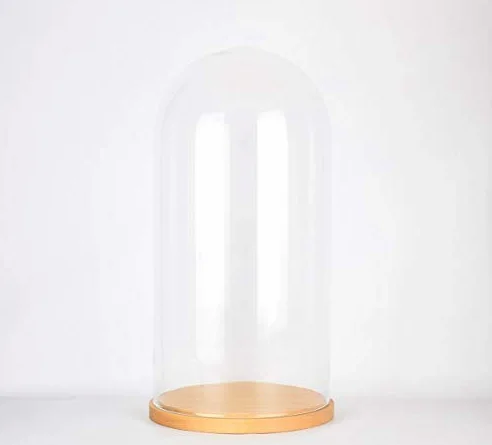 EMH - Espositore a cupola in vetro con base in legno, altezza 41,5 cm