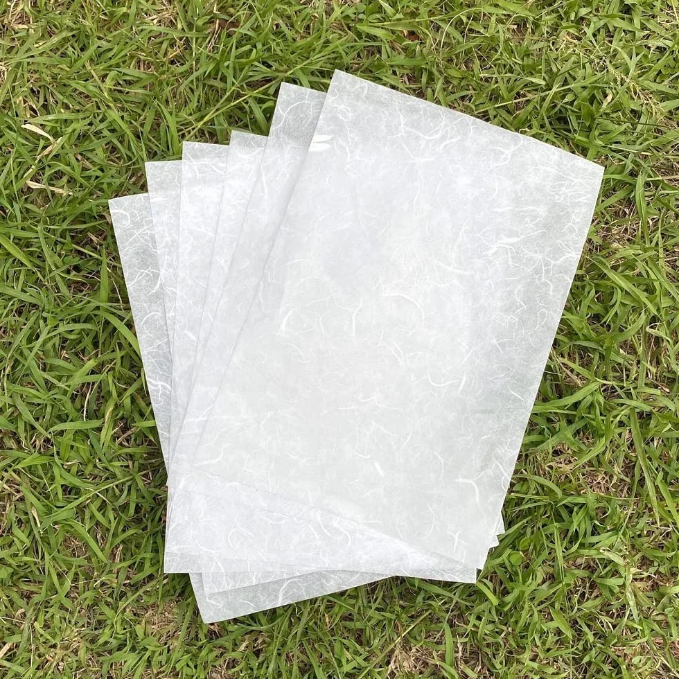 Carta Washi A4 fibra naturale gelso per origami artistici, biglietti fai da te (bianco crema)