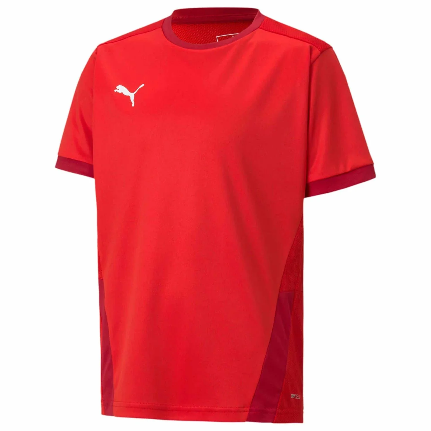 Puma Teamgoal 23 Jersey Jr