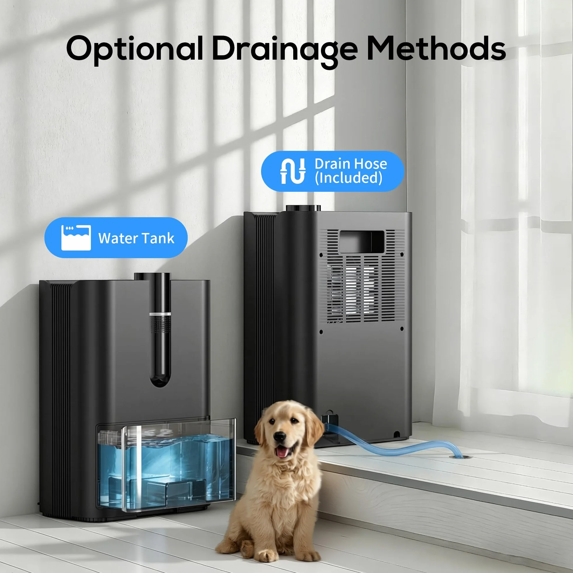 Deumidificatore Casa, 2500ML Dehumidifier per Casa Muffa, Deumidificatore Elettrico Silenzioso con Tubo di Scarico, Spegnimento Automatico, Modalità Sleep, Deumidificatori per Bagno,Camera,Armadio