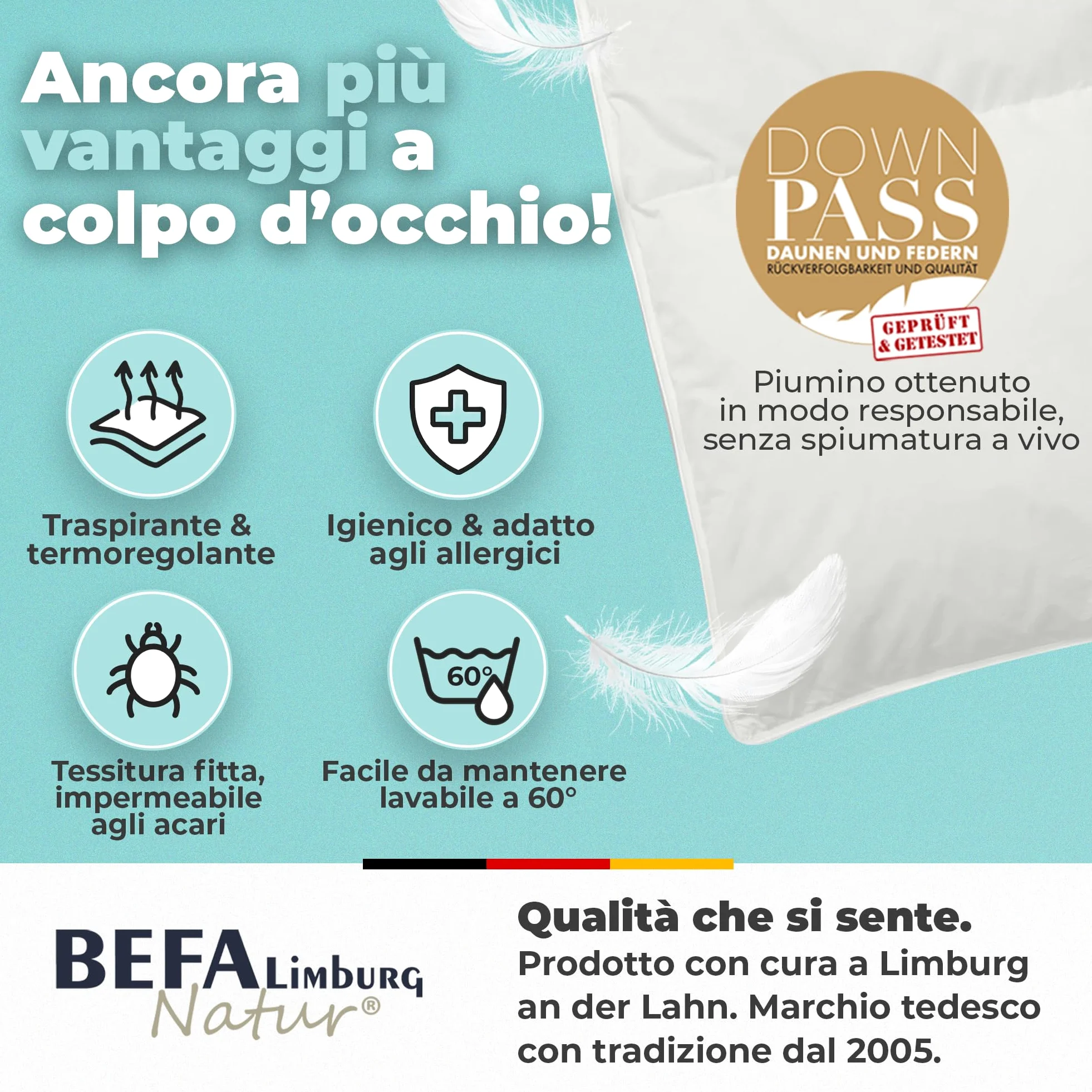 BEFA NATUR Couette en Pur Duvet Toutes (1, Piumino invernale, 155x220 cm)