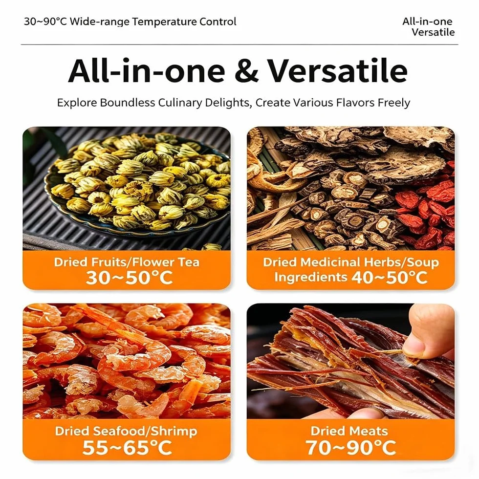Essiccatore per Alimenti professionale 800W in Acciaio Inox, 10 Vassoi in Acciaio Inox, Grande Capacità, Display LED, Timer 24H, Temperatura Regolabile 30℃ – 90℃, per Carne, Frutta, Verdure(10 tray)