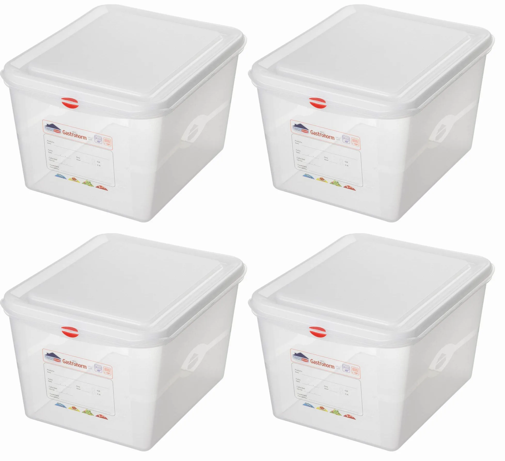 4 contenitori GN GN1/1 con coperchio, 530 x 325 x 200 mm, 28 litri