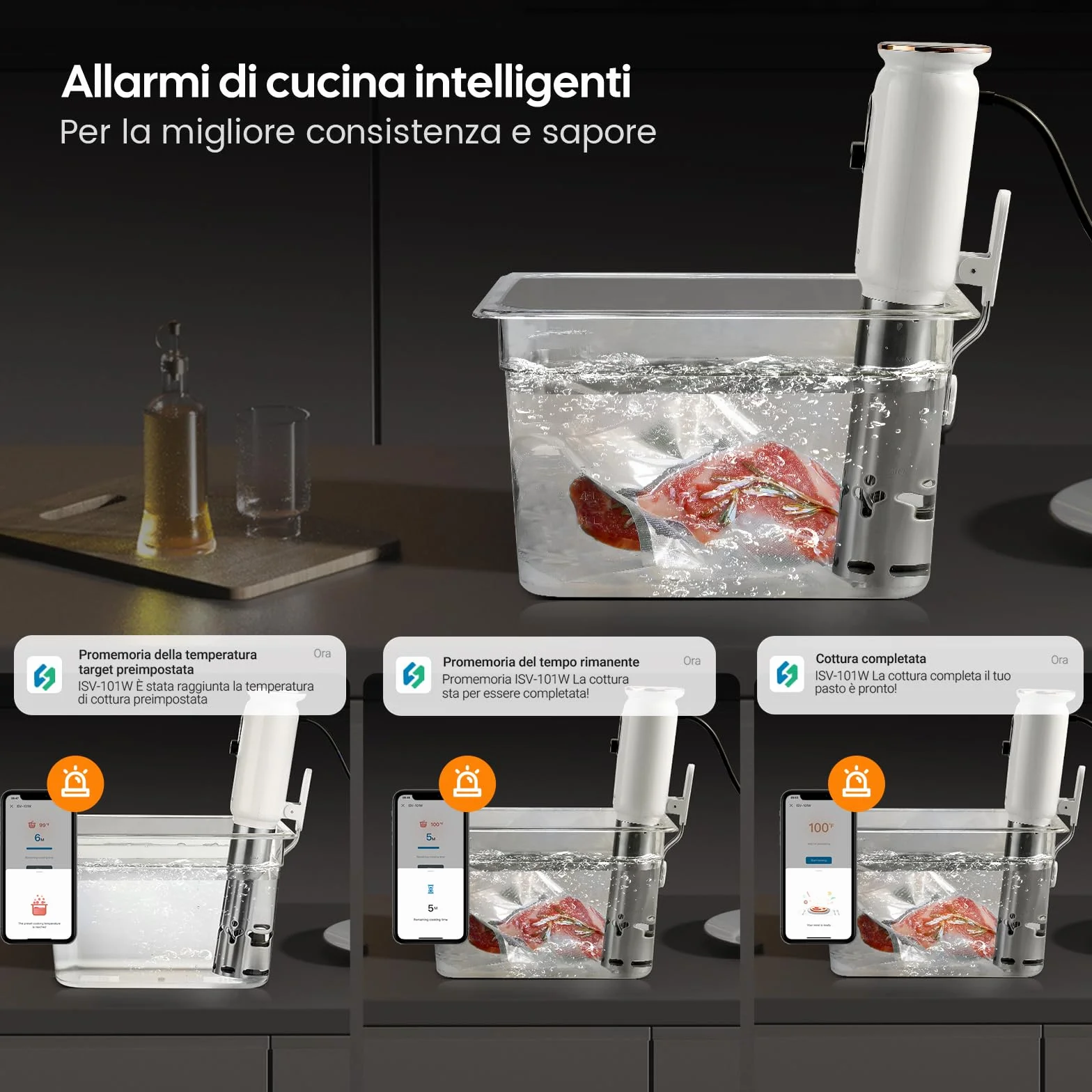 INKBIRD Wifi Sous Vide Roner 1000W 0-90℃ Cottura Bassa Temperatura TFT