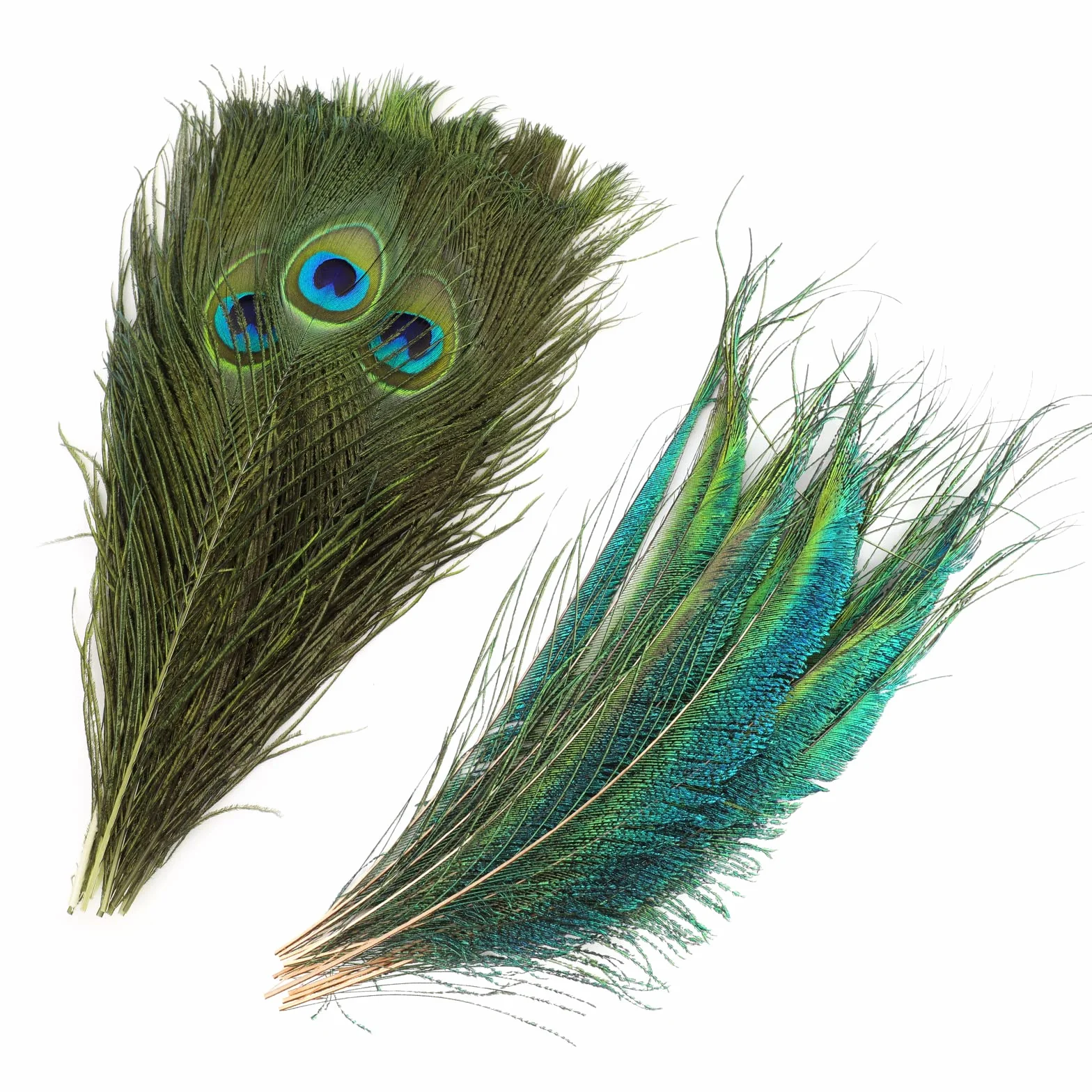 Piume di Pavone Decorative Naturali 30 Pezzi 25-30cm, MWOOT Accessori per Capelli DIY Carnevale